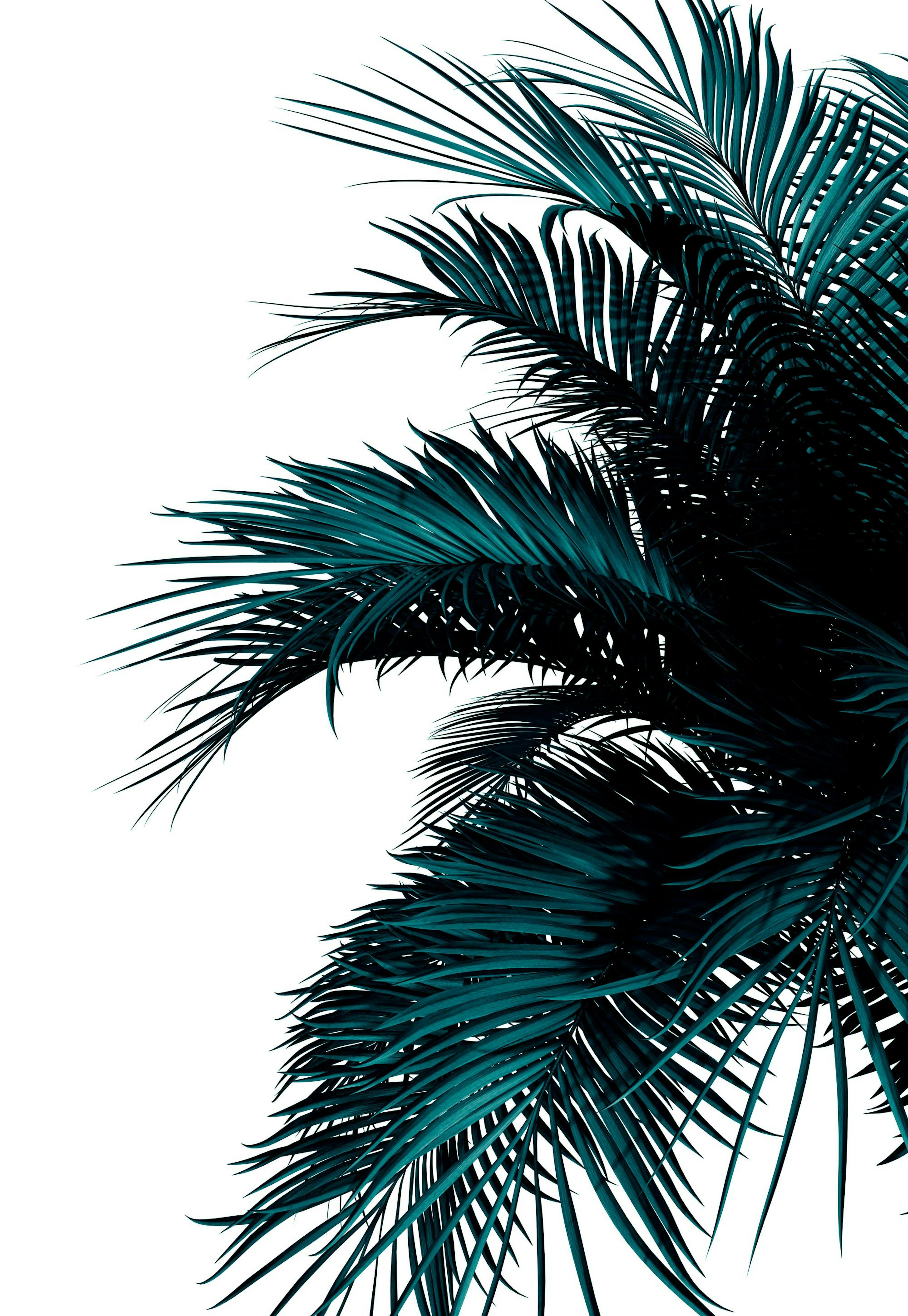 Green Palm Tree Poster 0