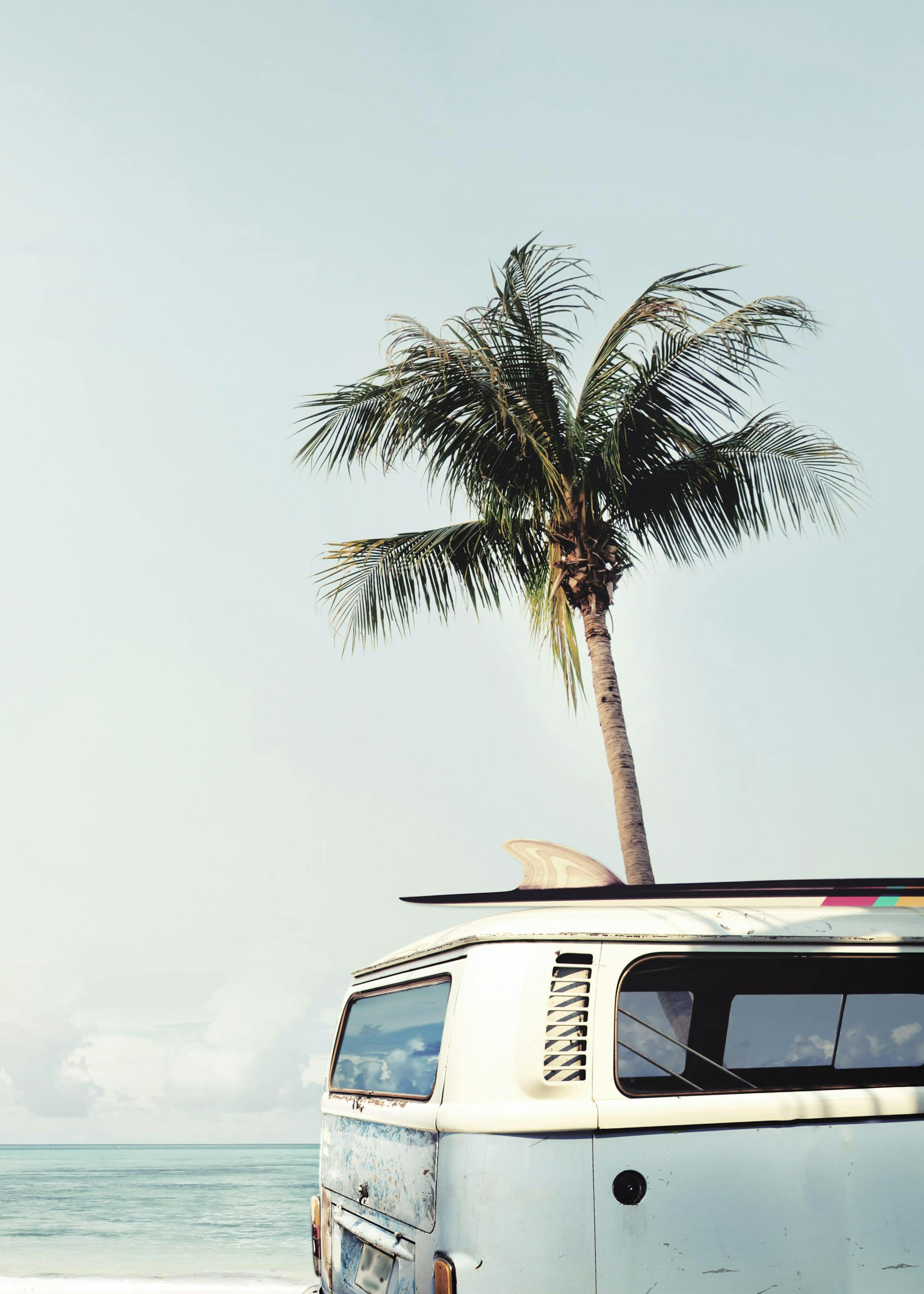 Surf Van Poster 0