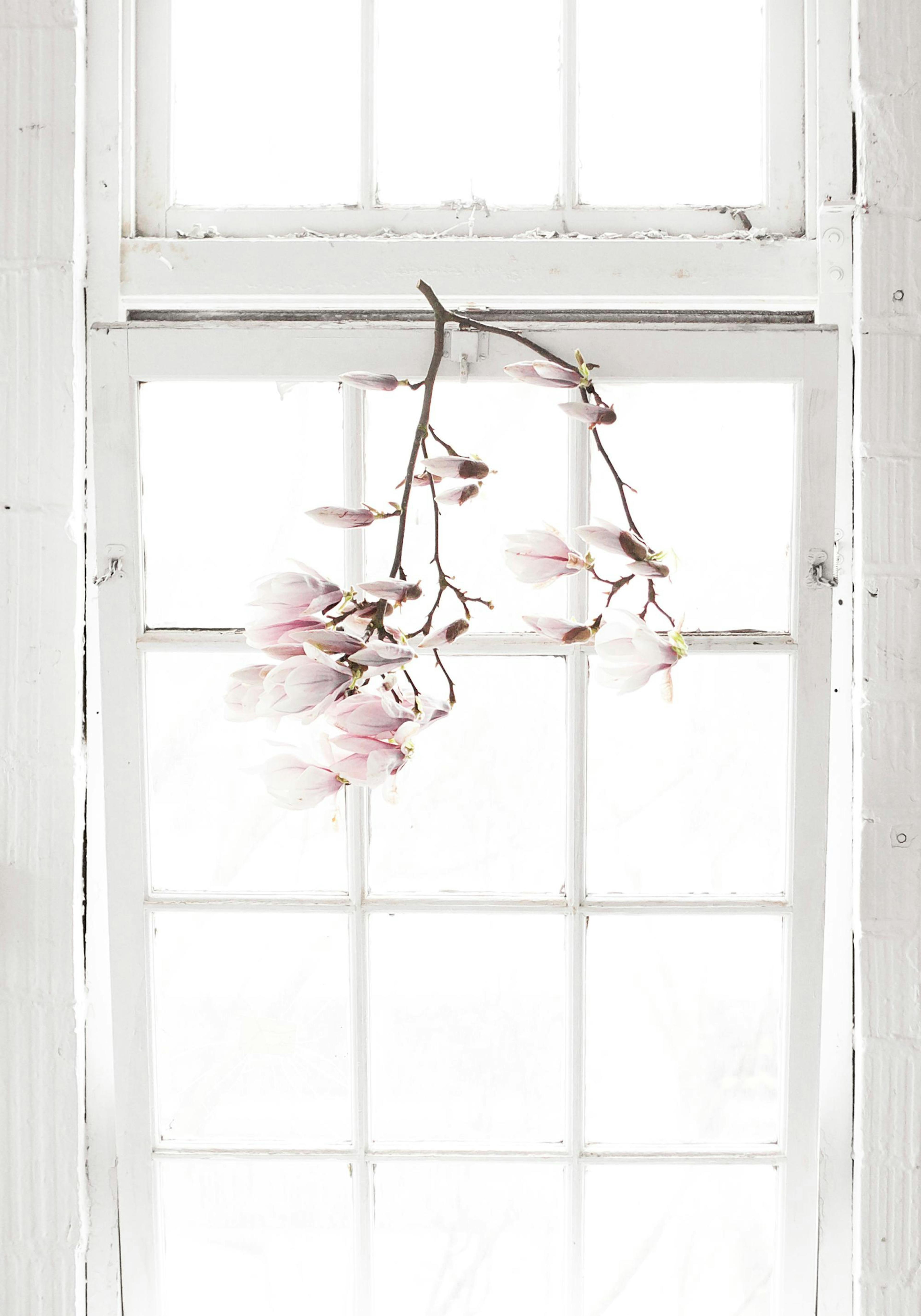 Fleurs à la Fenêtre Poster thumbnail