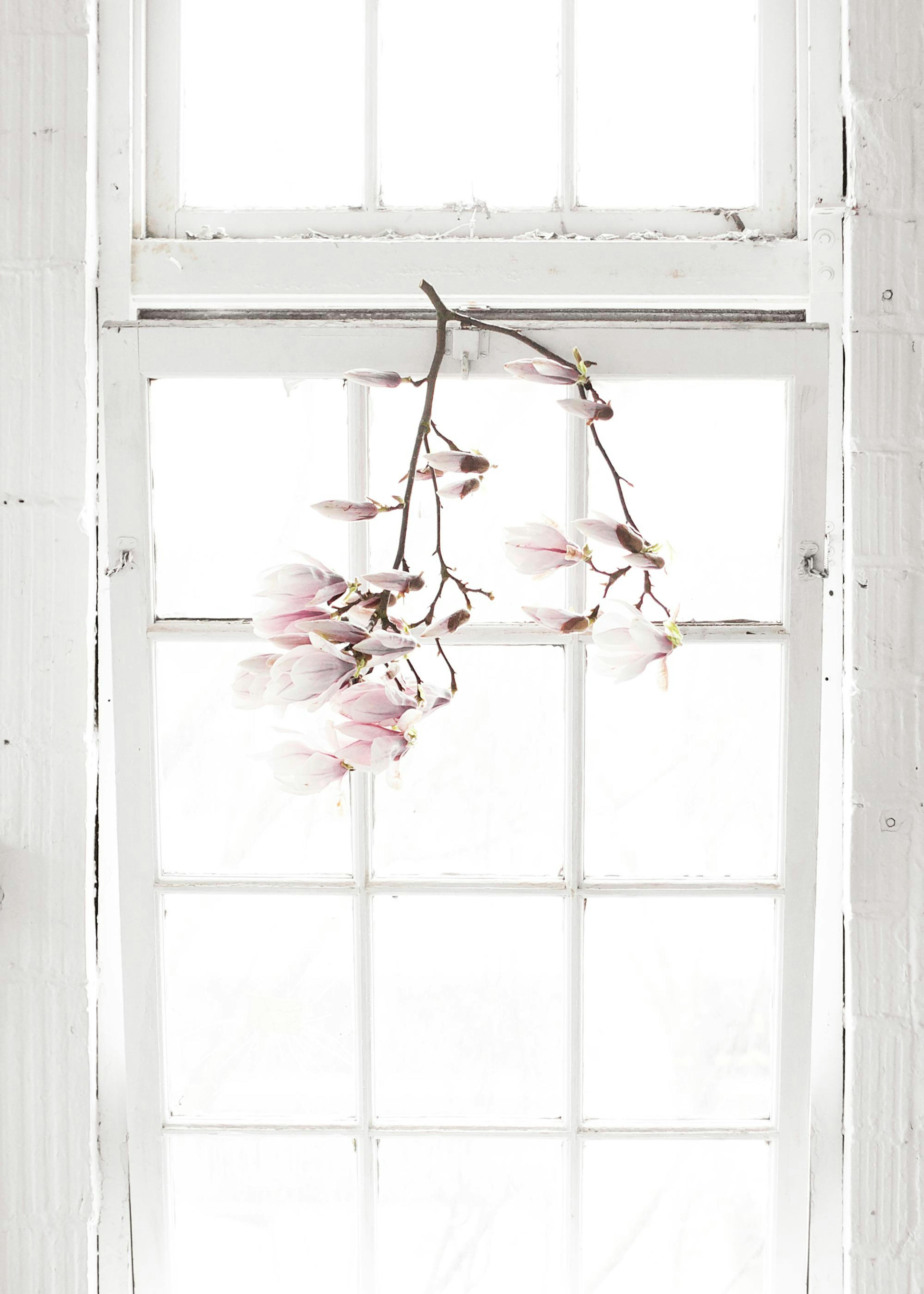 Fleurs à la Fenêtre Poster 0