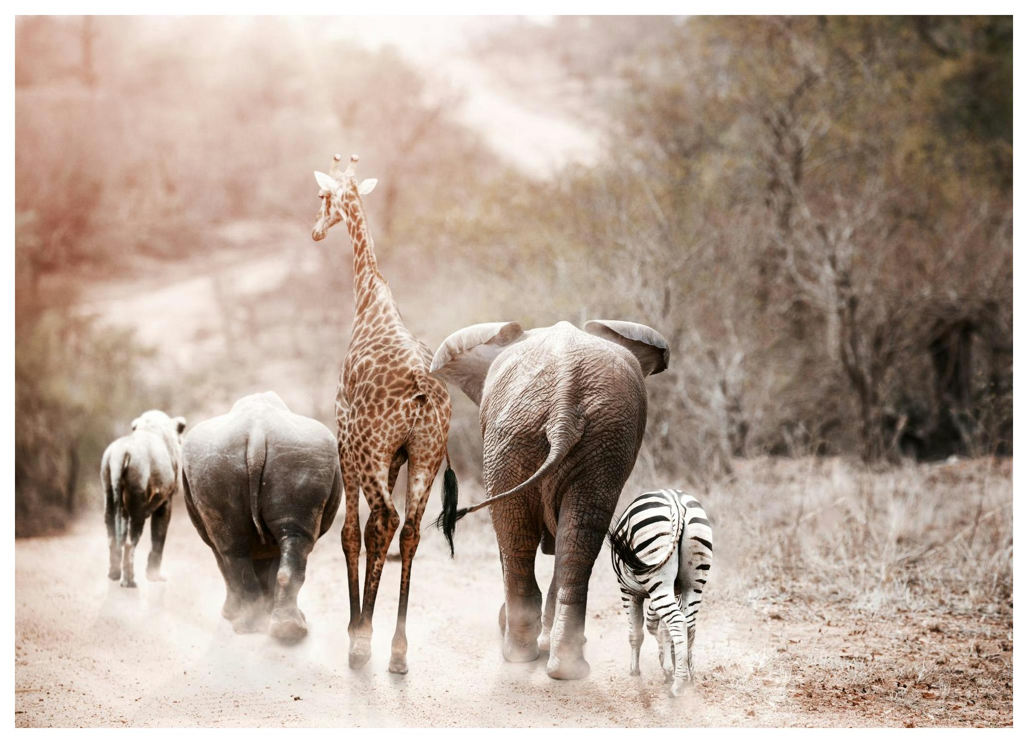 Friends Poster (21x30 cm) - Poster Store
