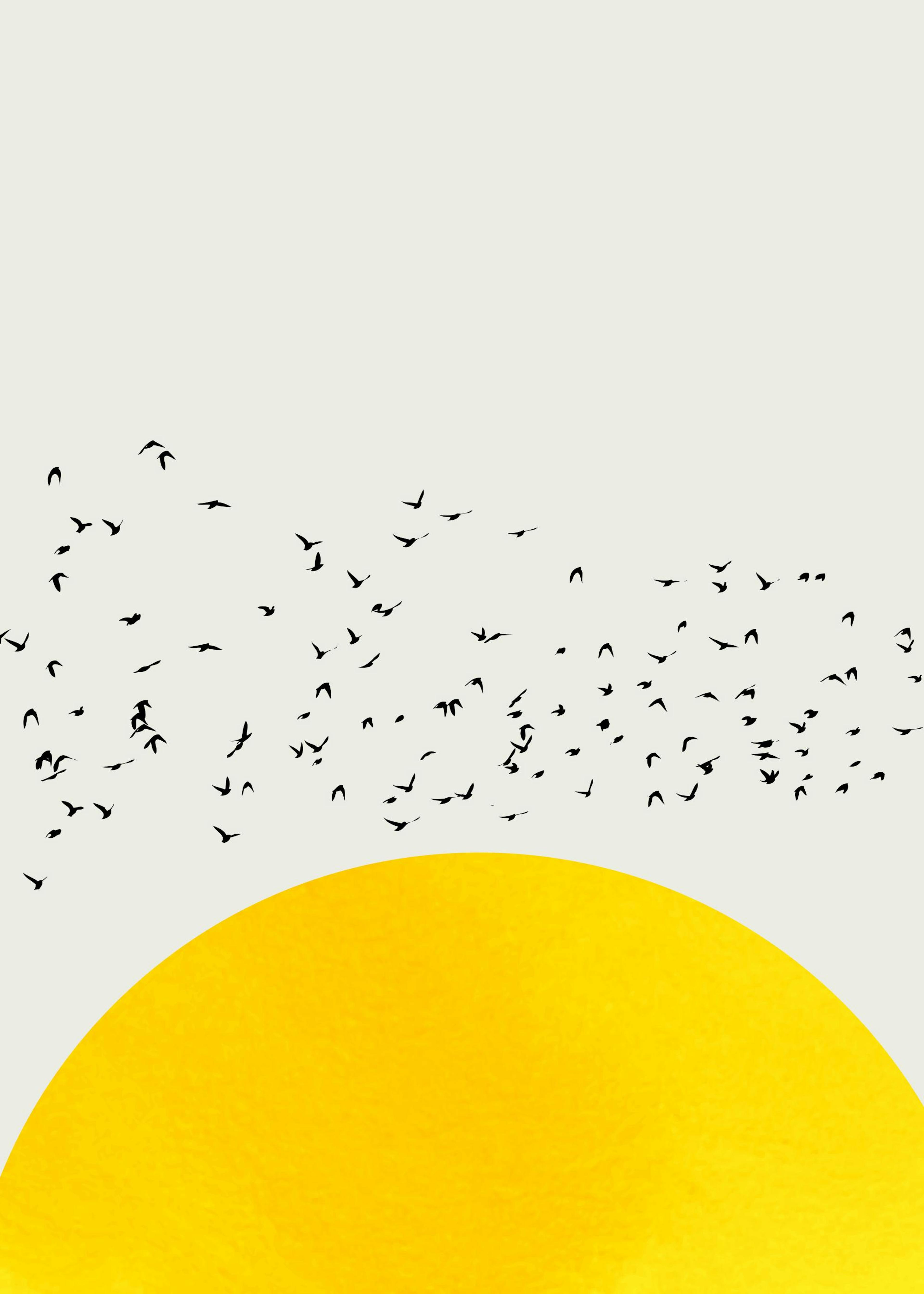 A Thousand Birds Affiche 0