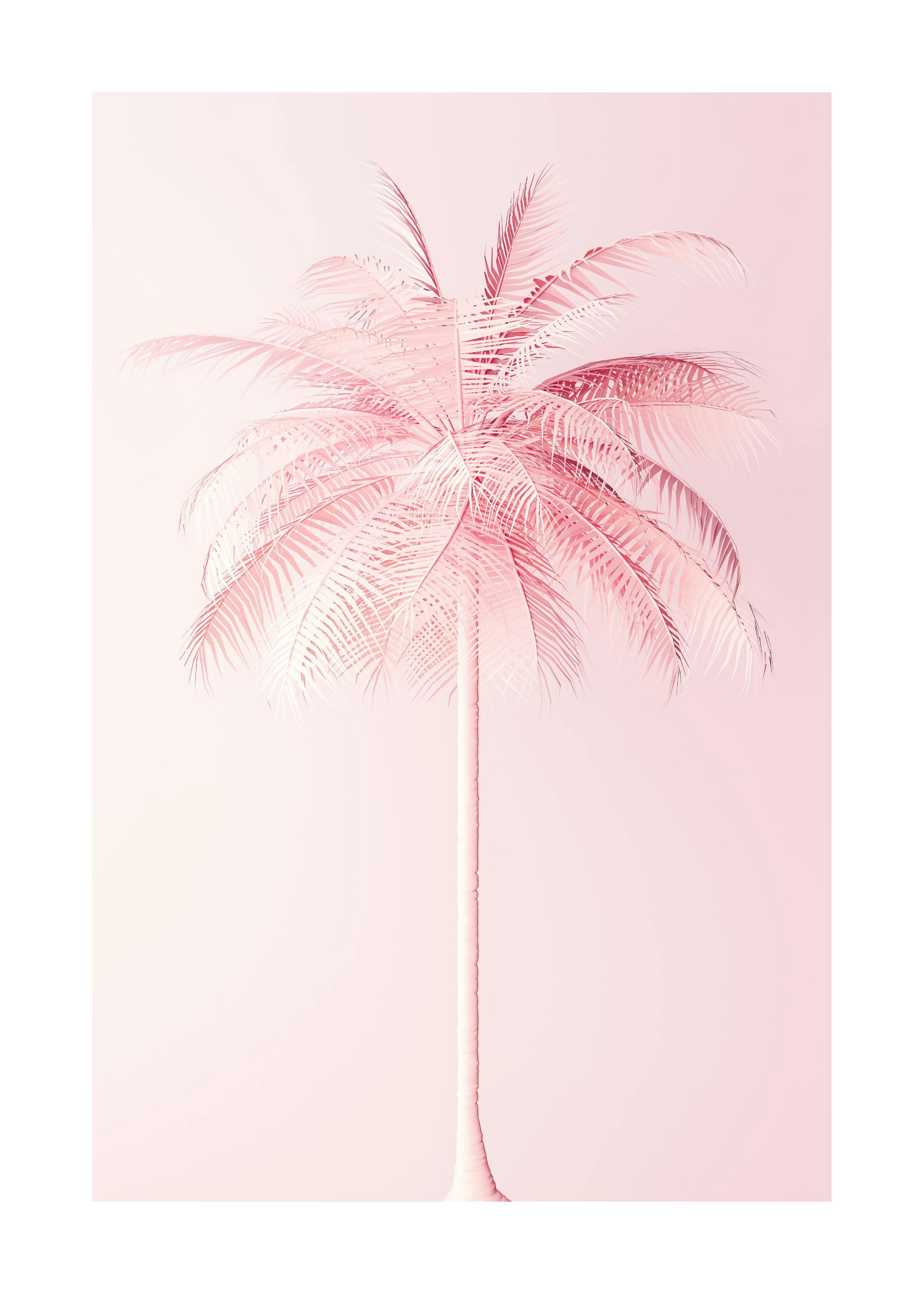 Pink Palm Poster 0