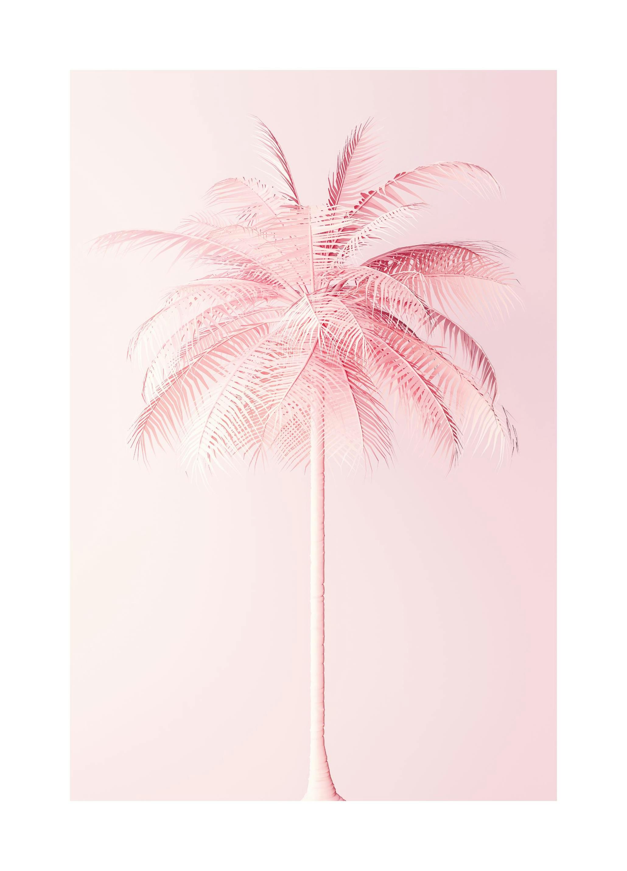 Pink Palm Poster (30x40 cm) - Poster Store