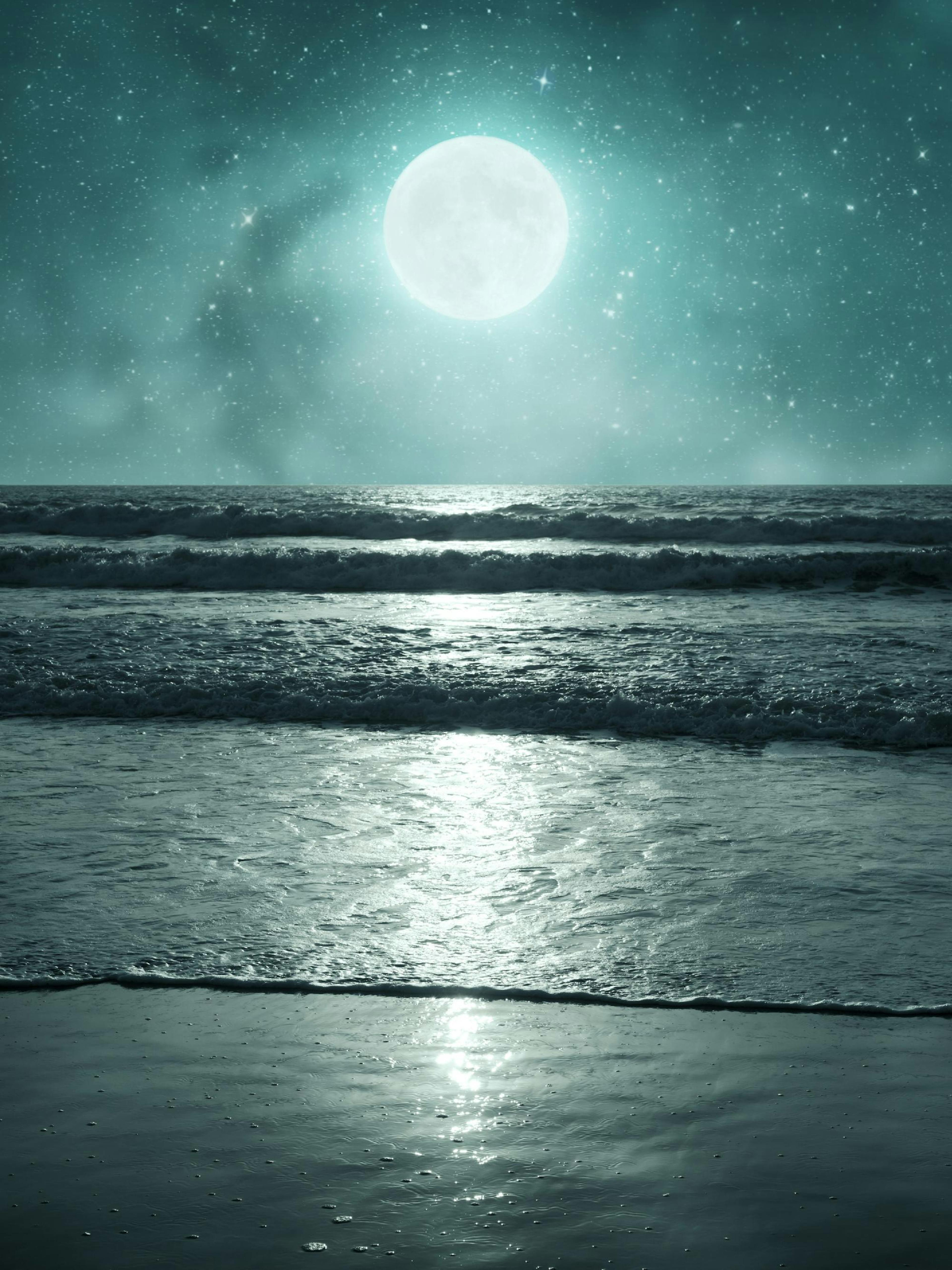Tropische Nacht Poster thumbnail