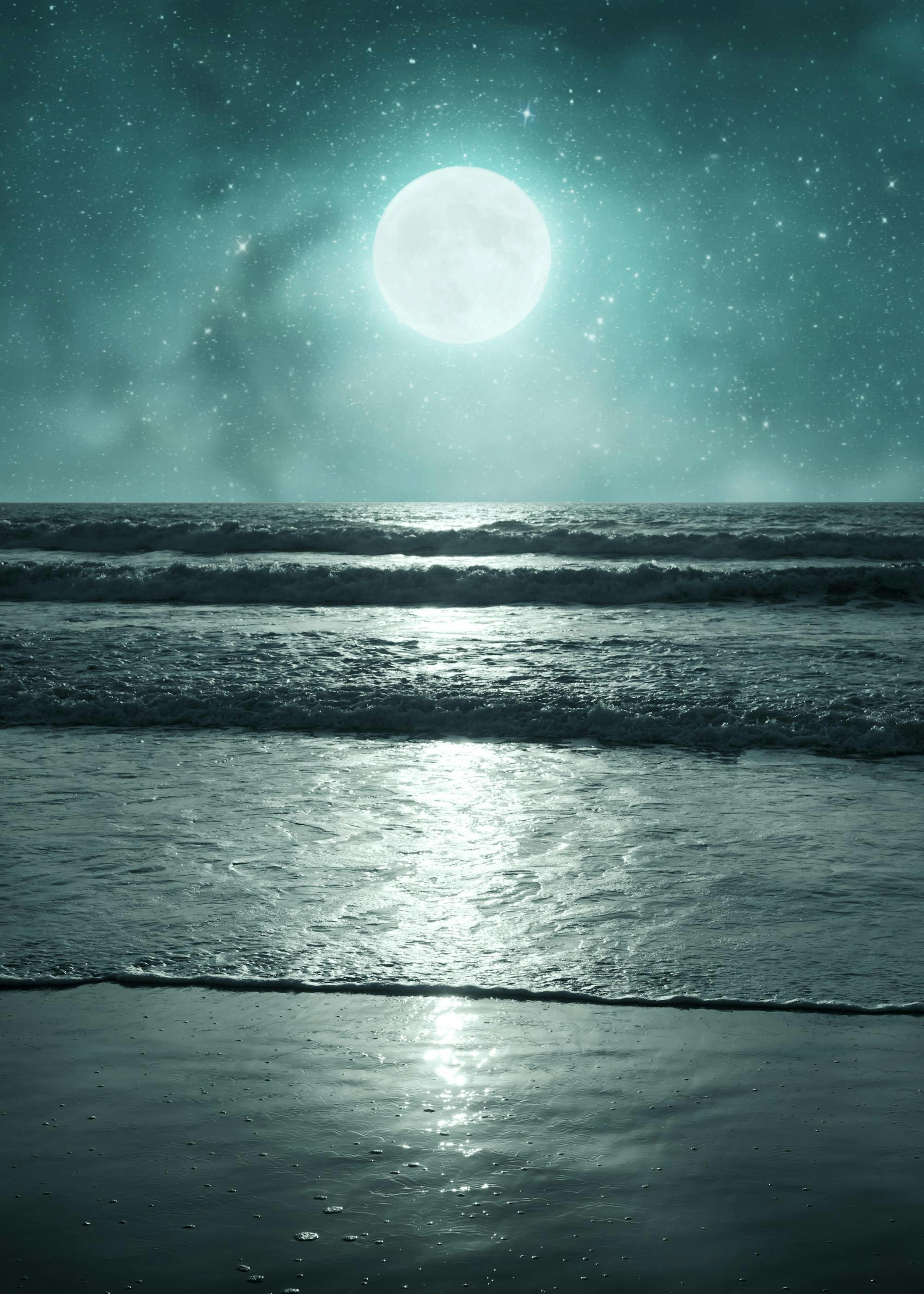 Nuit Tropicale Poster 0