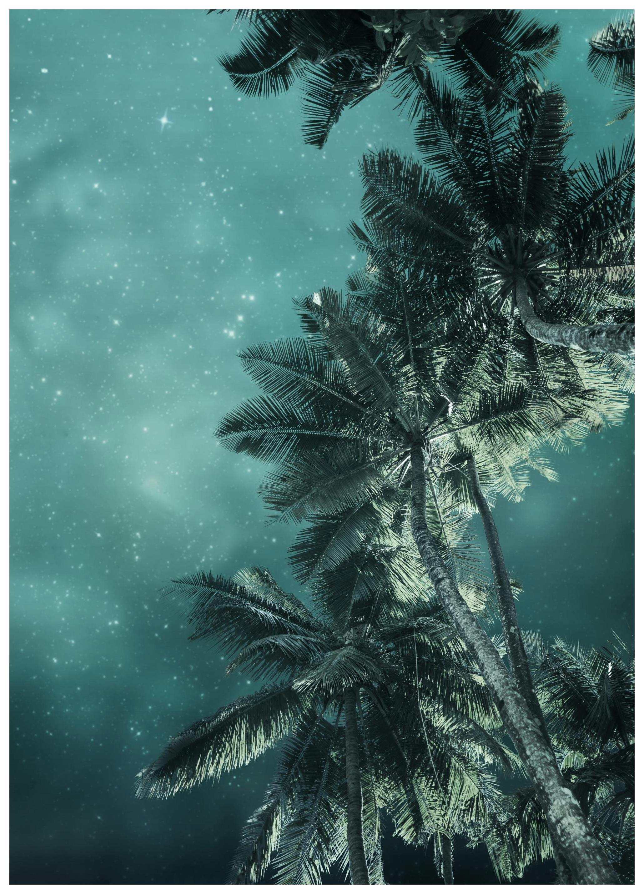 Palmbomen onder de Sterren Poster (30x40 cm) - Poster Store