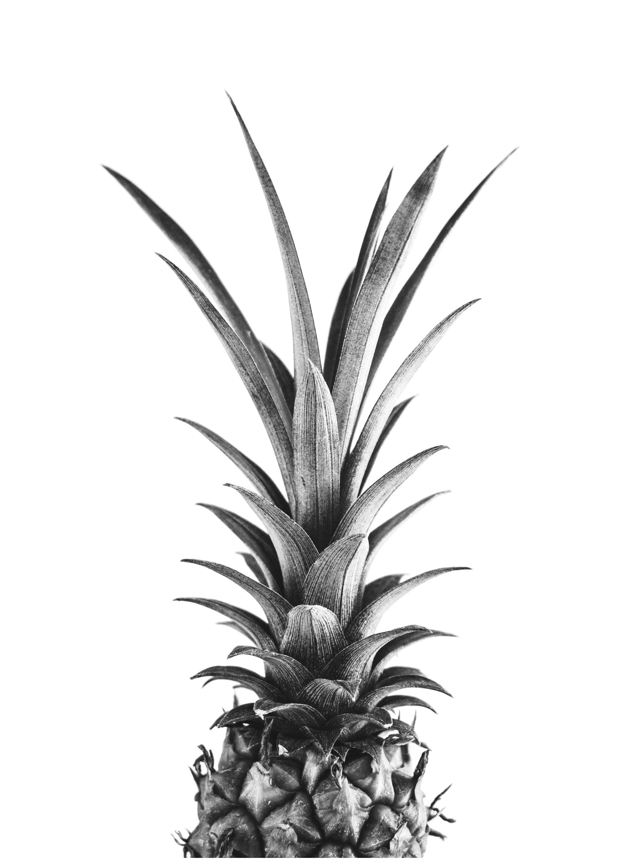 Ananas. Affiche (50x70 cm) - Poster Store