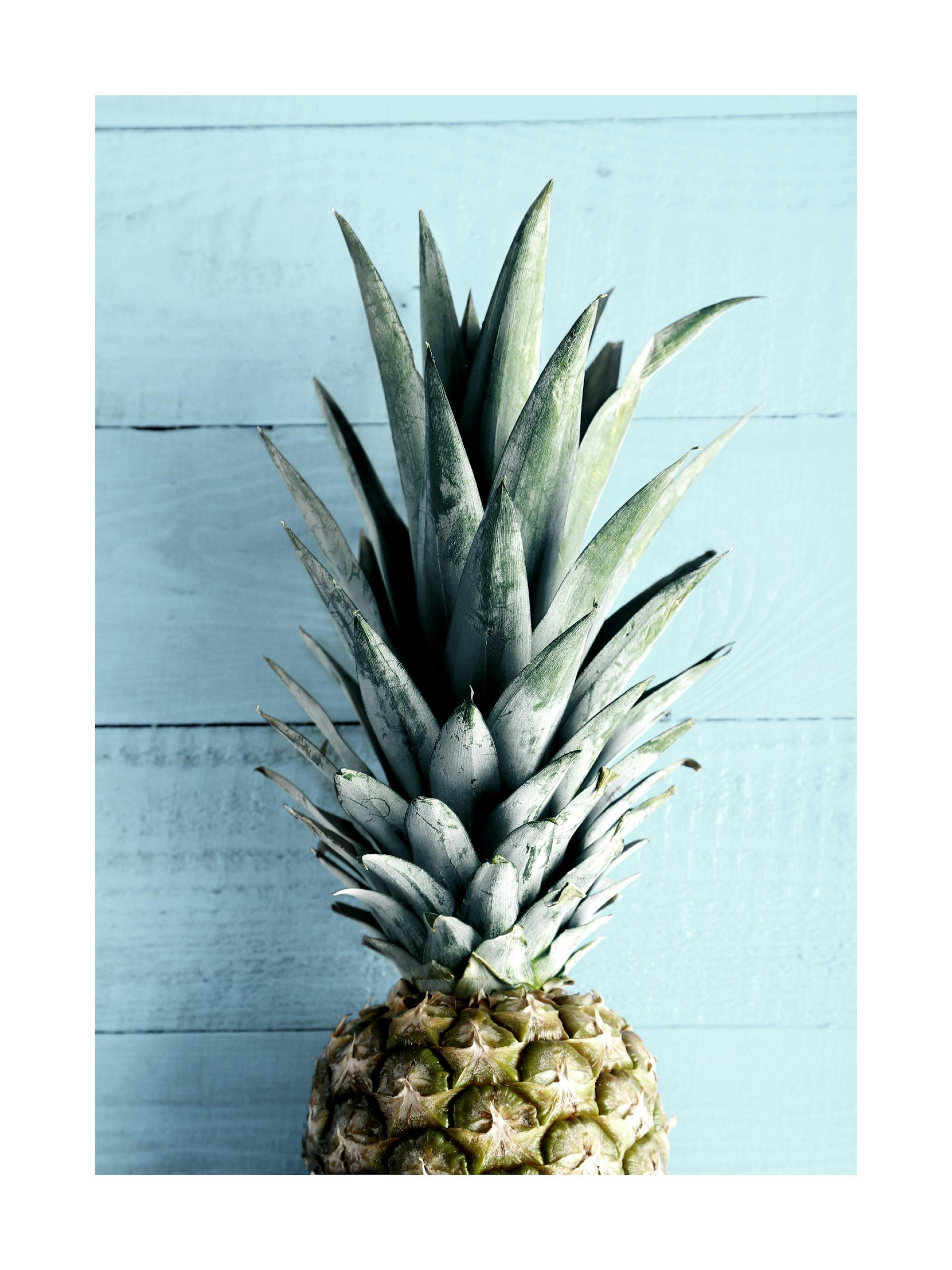 Plakat Blue Wall Pineapple 0