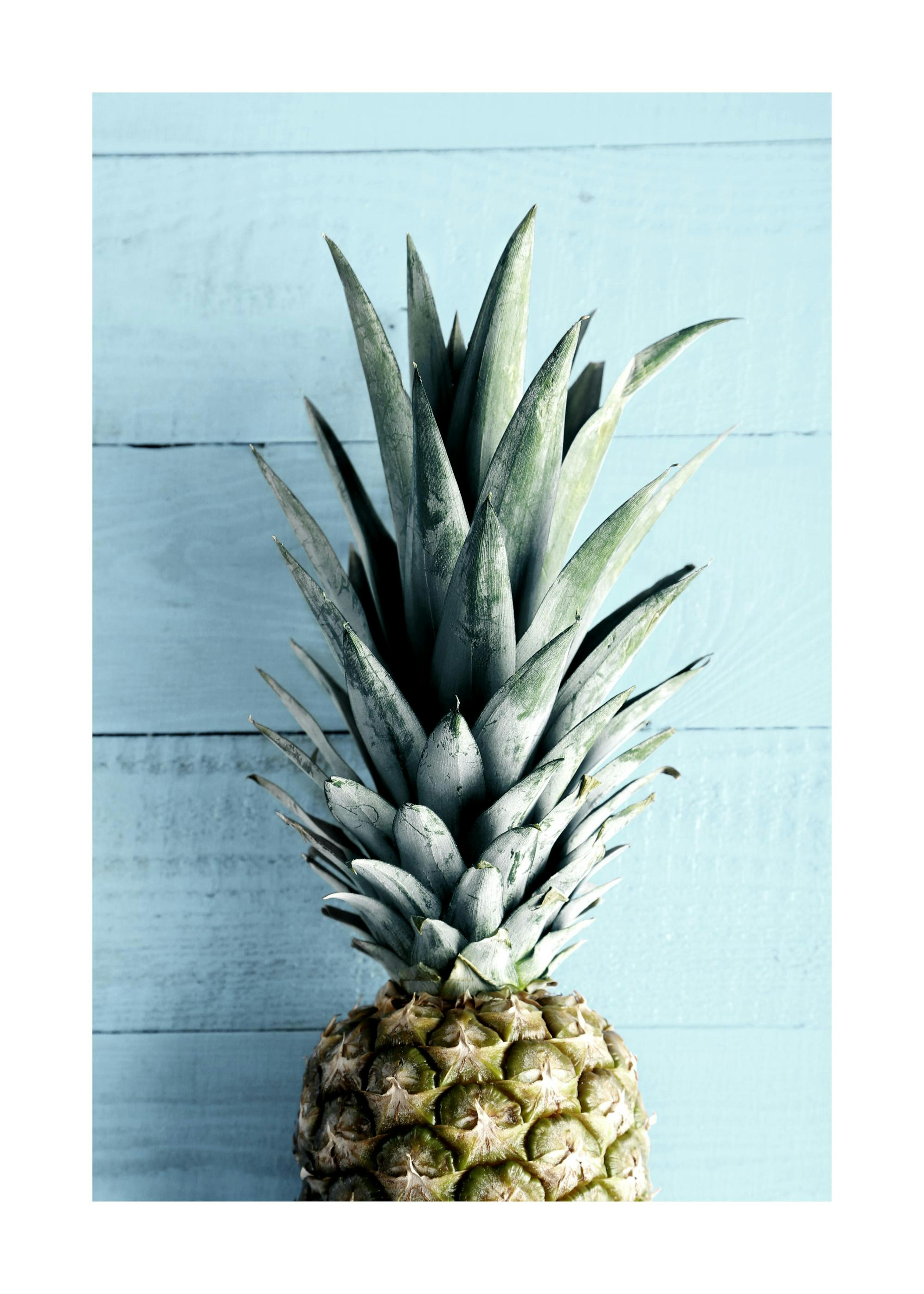 Sininen Seinä Ananas Juliste 0