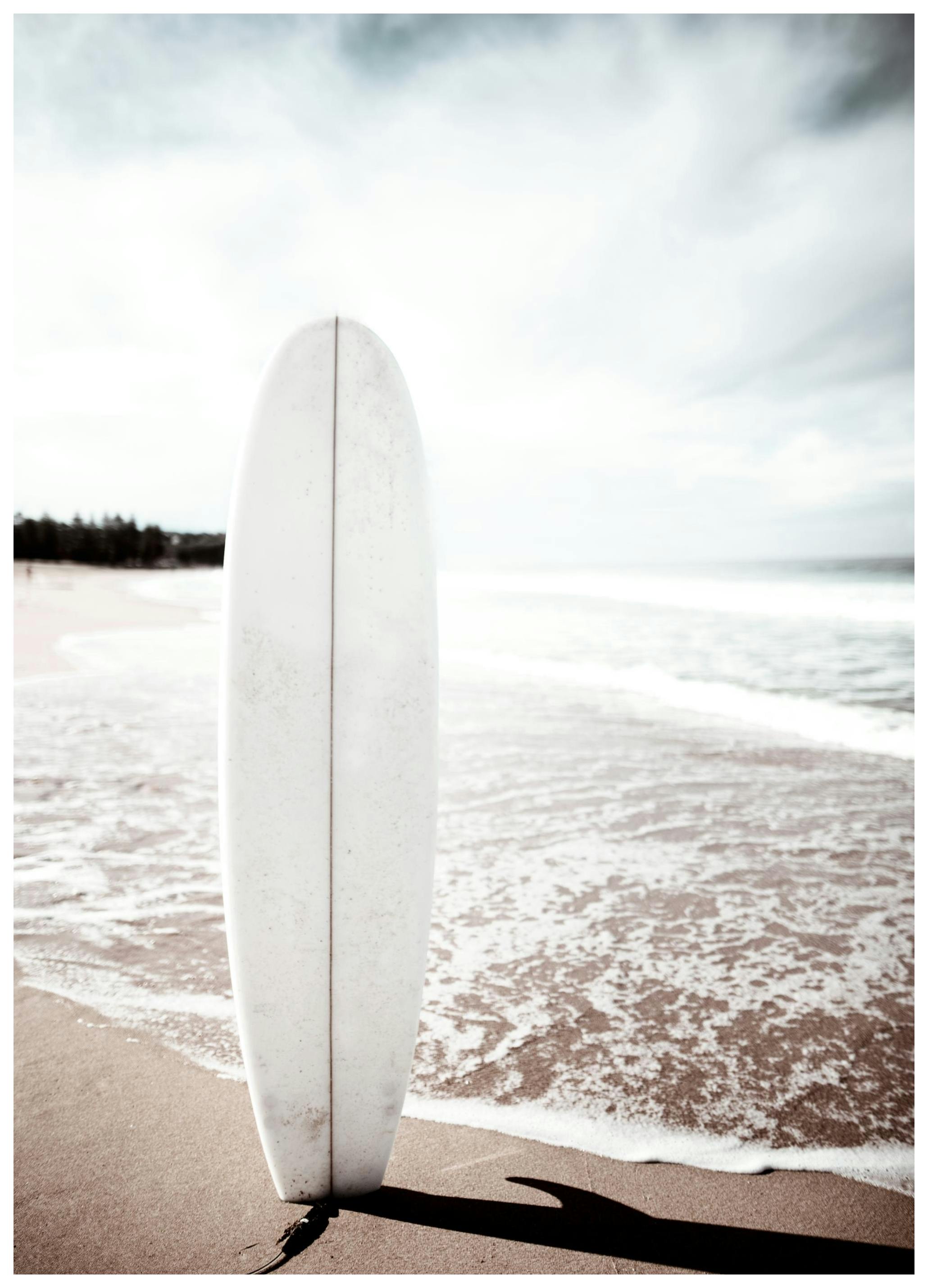 Surfboard. Affiche - Poster Store