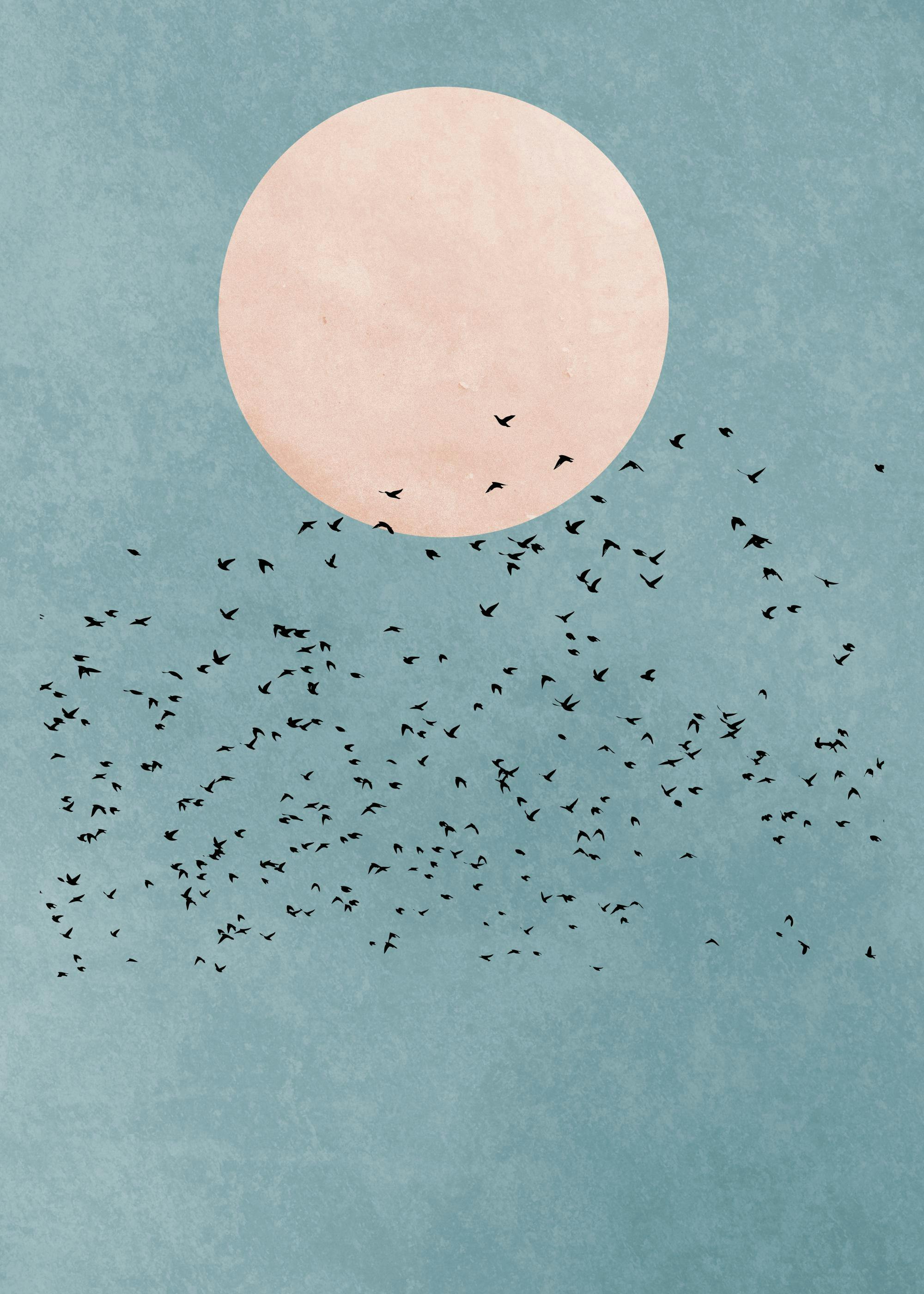 Blue Sky Birds Poster 0