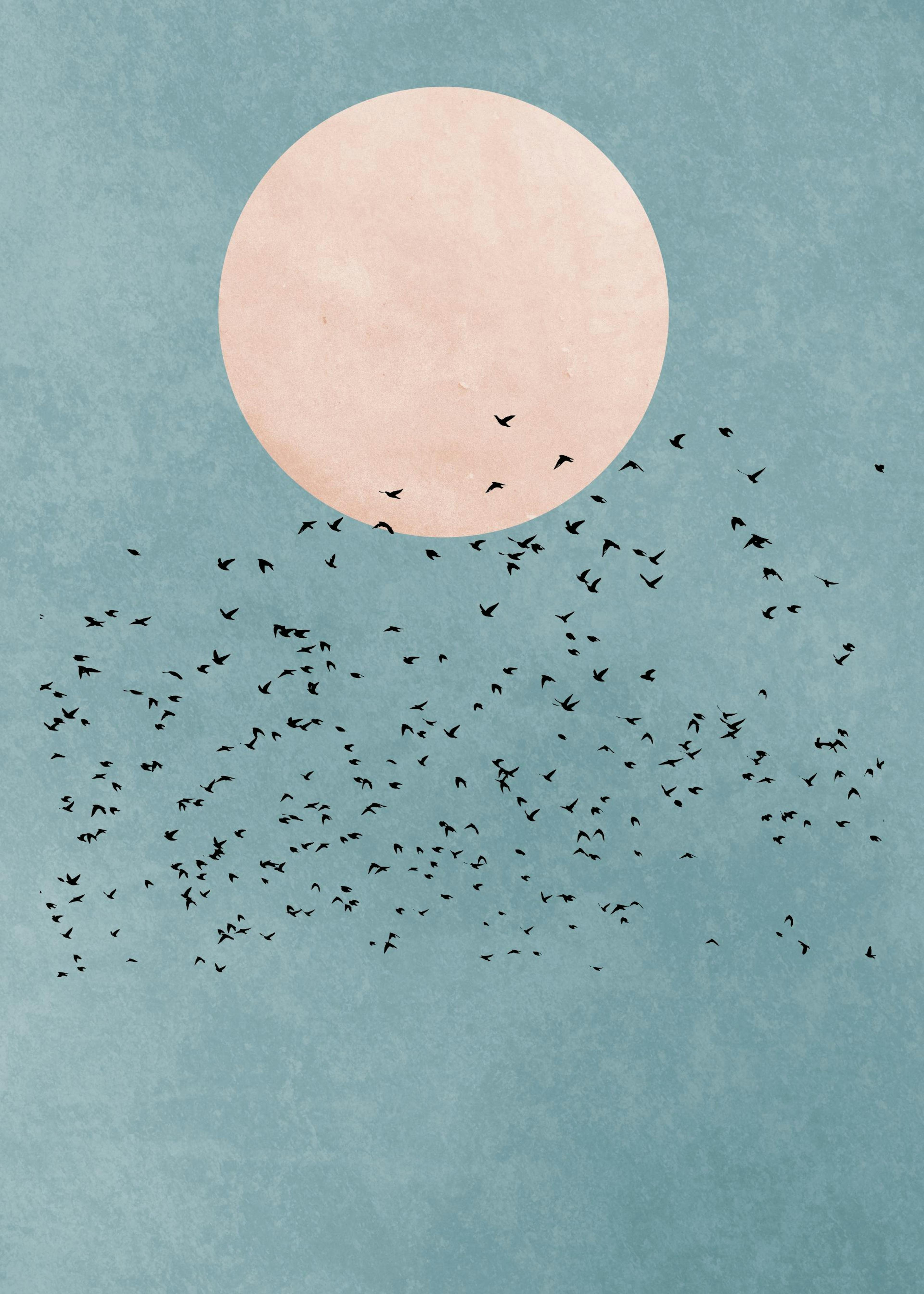 Blue Sky Birds Affiche 0