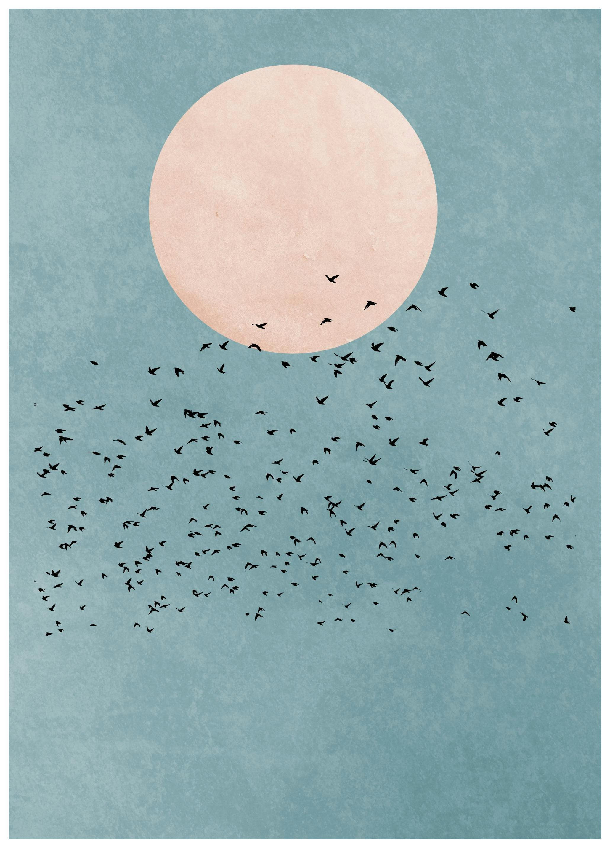 Blue Sky Birds Poster (30x40 cm) - Poster Store