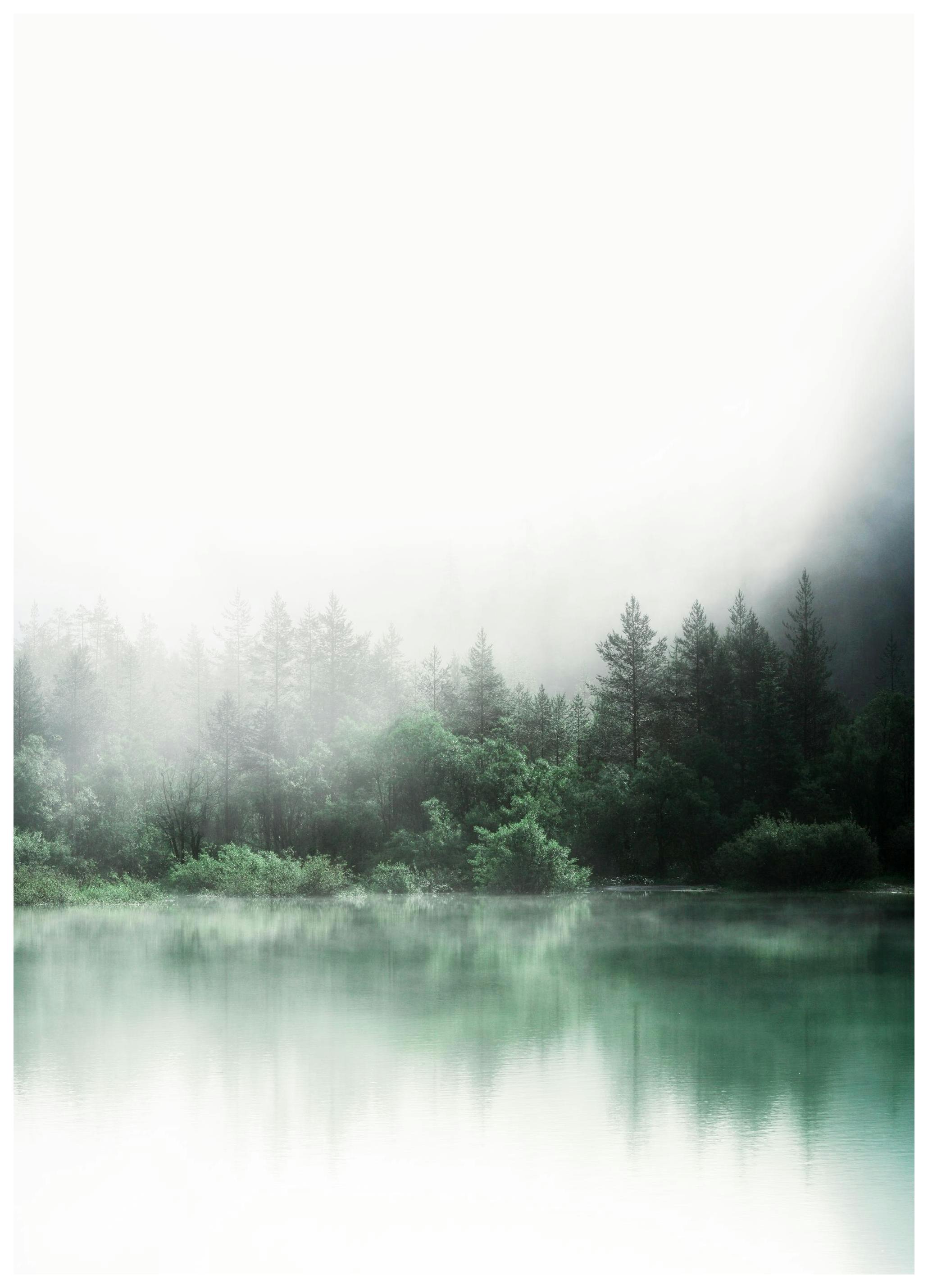 Forest Reflections Poster (21x30 cm) - Poster Store