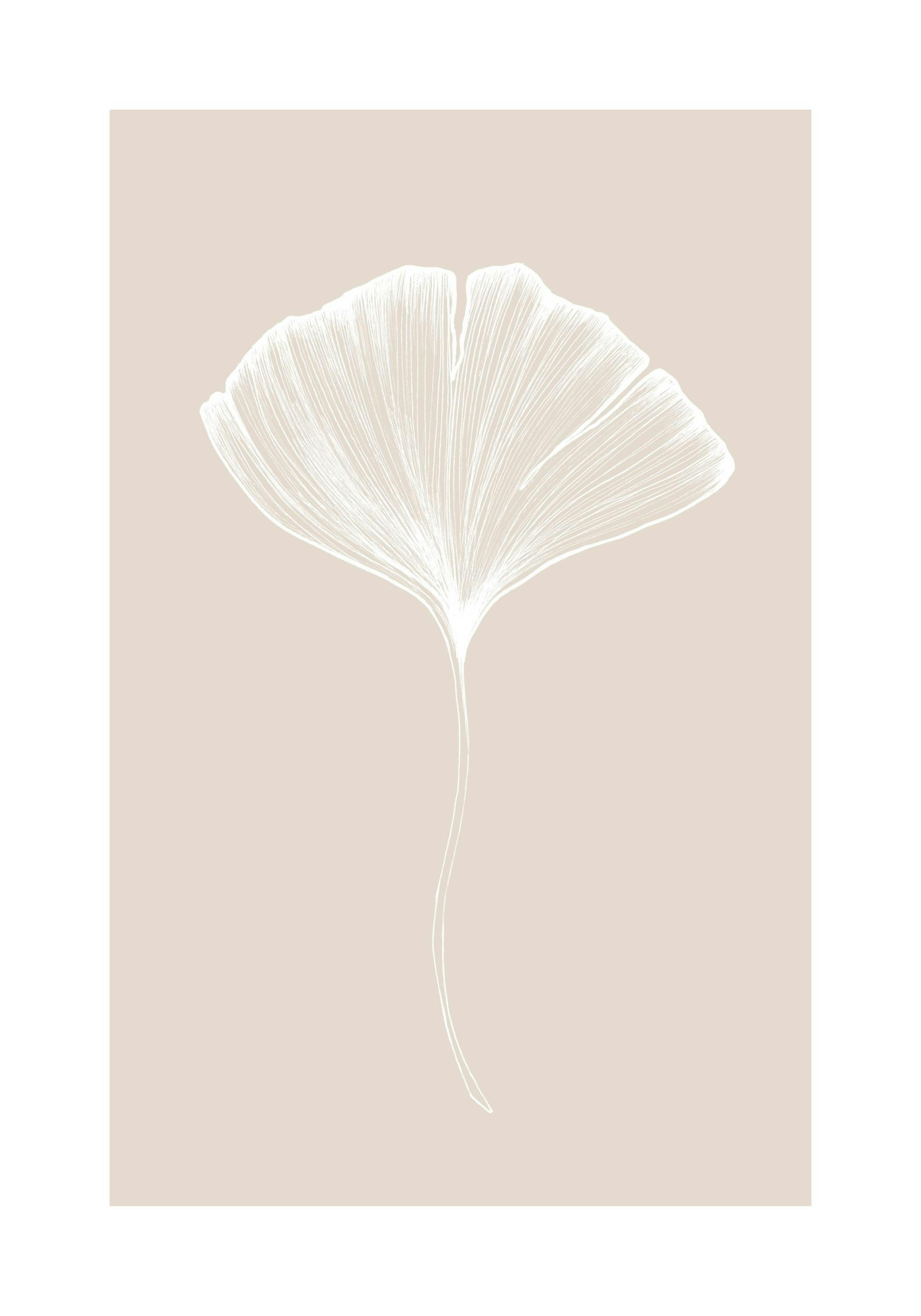 Ginkgo Beige No2 Poster thumbnail