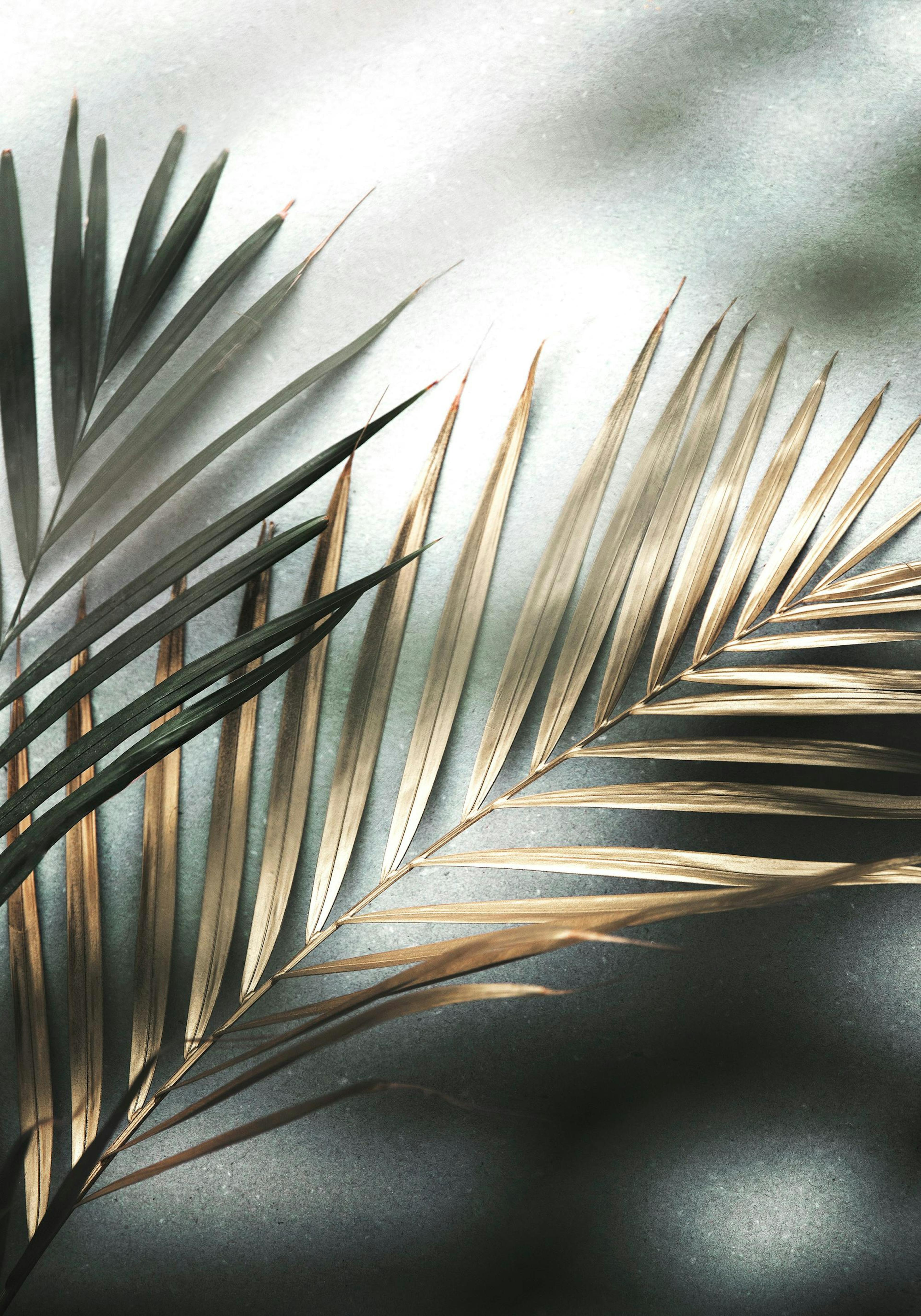 Golden Palm Poster thumbnail