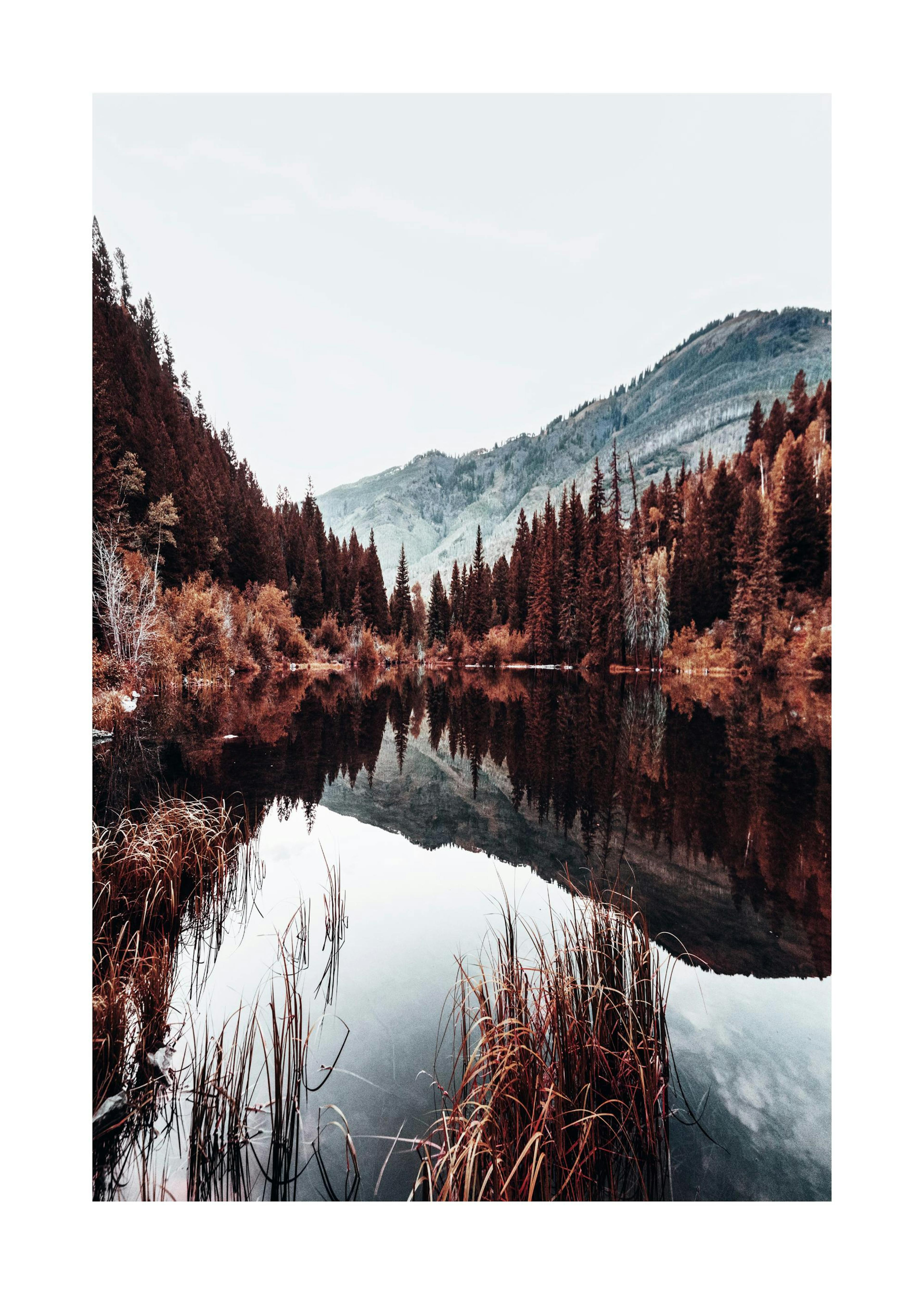 Lake by the Mountains Poster 0