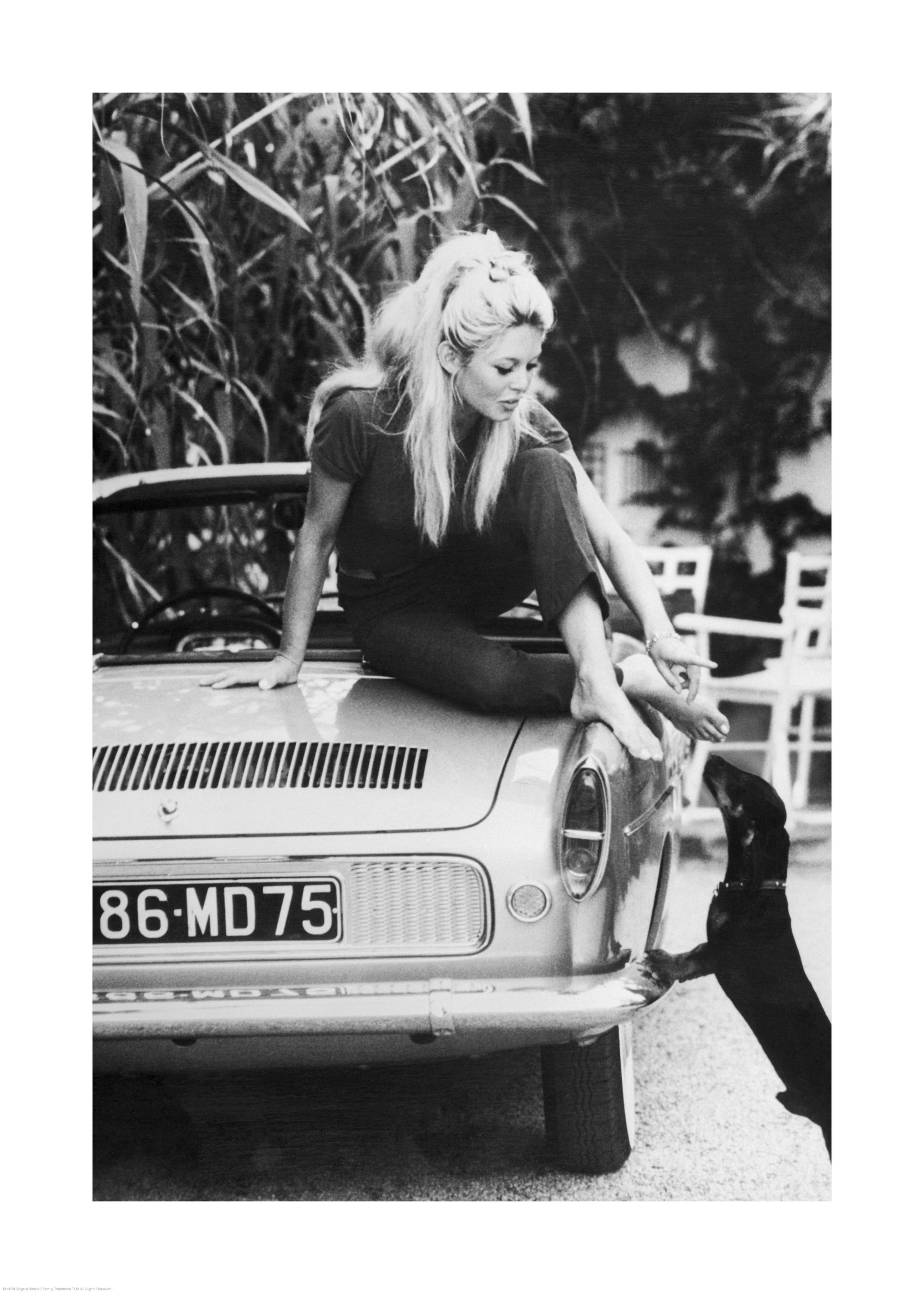 Poster Brigitte Bardot 0