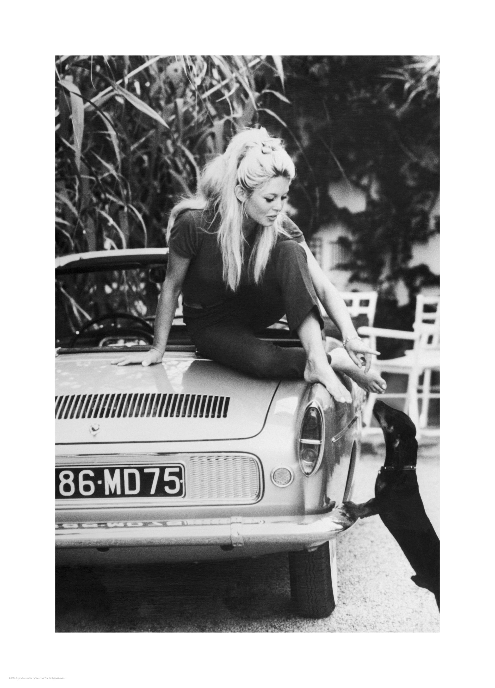 Brigitte Bardot Poster (21x30 cm) - Poster Store