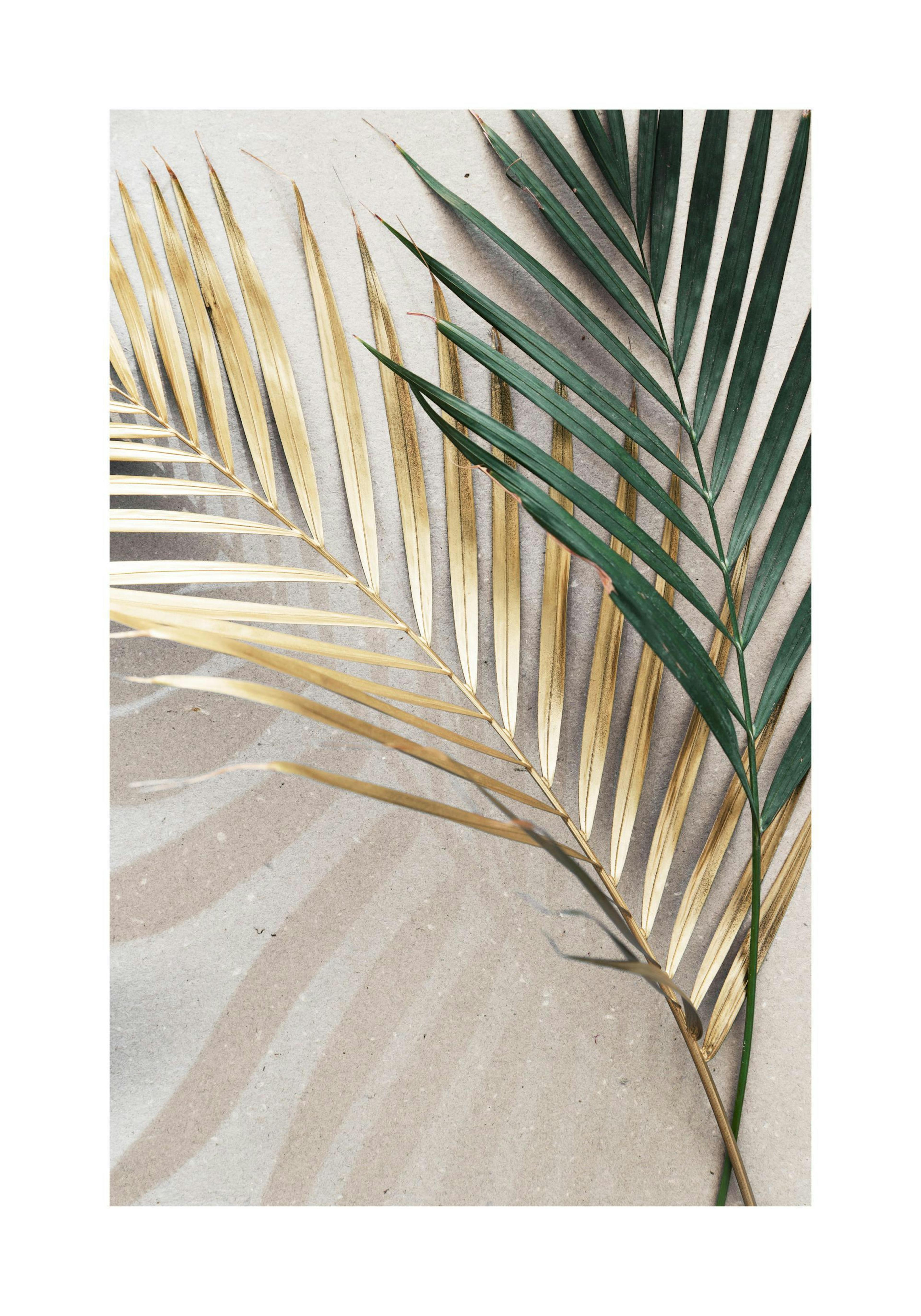 Golden Leaves Poster thumbnail