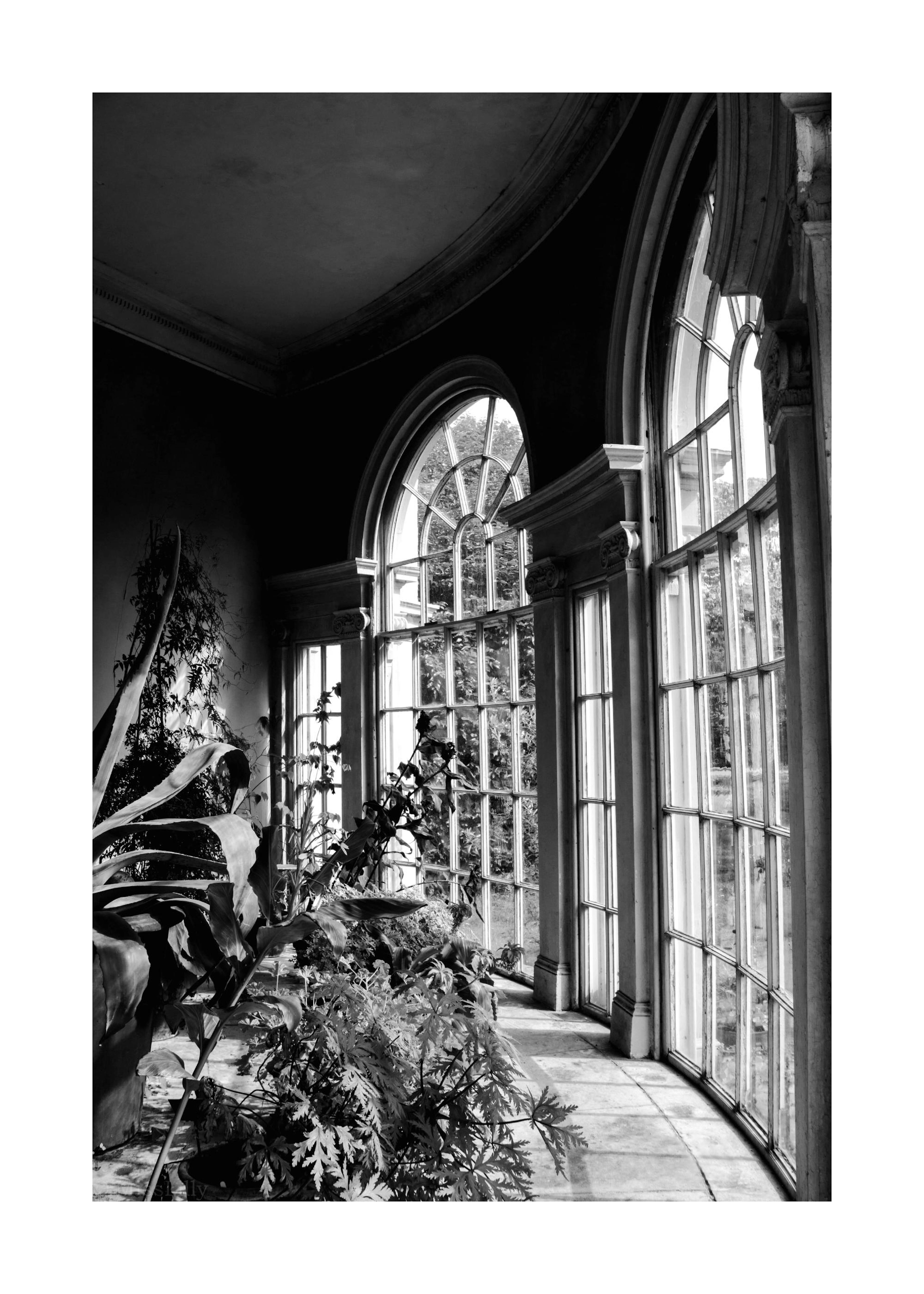 Greenhouse Windows Poster 0
