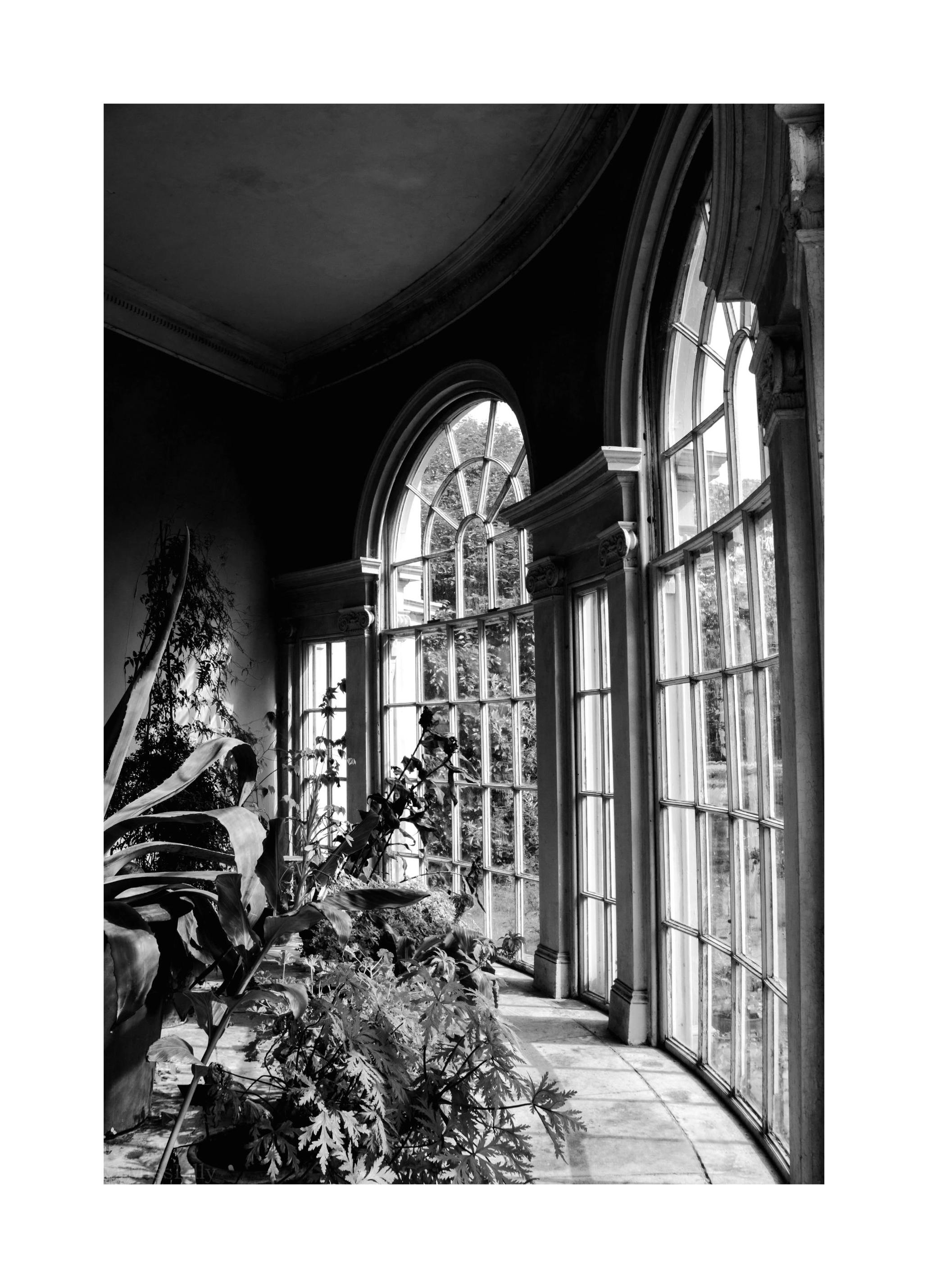 Prints Greenhouse Windows Poster (50x70 cm) - Poster Store