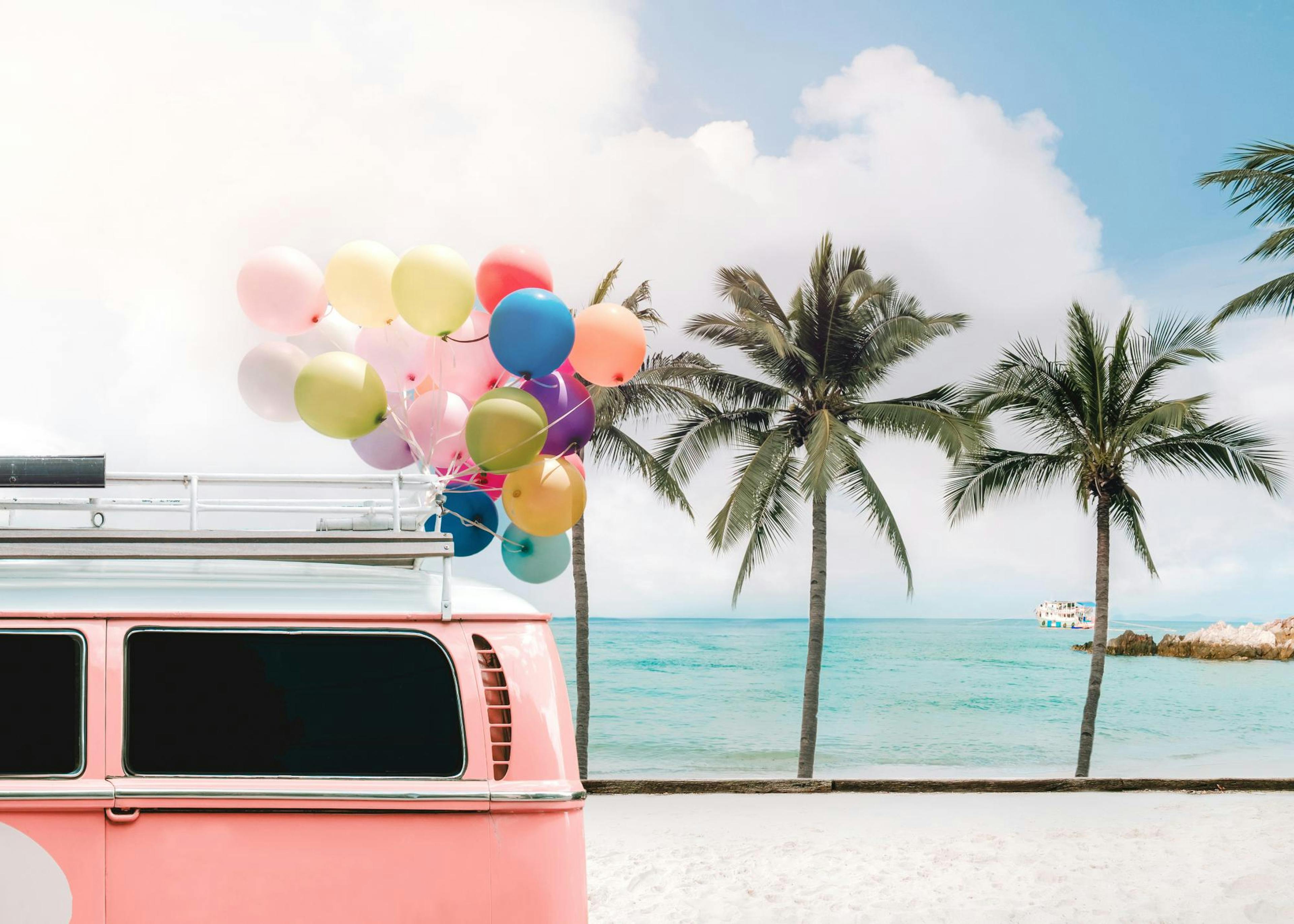 Pink Surfers Van Poster 0