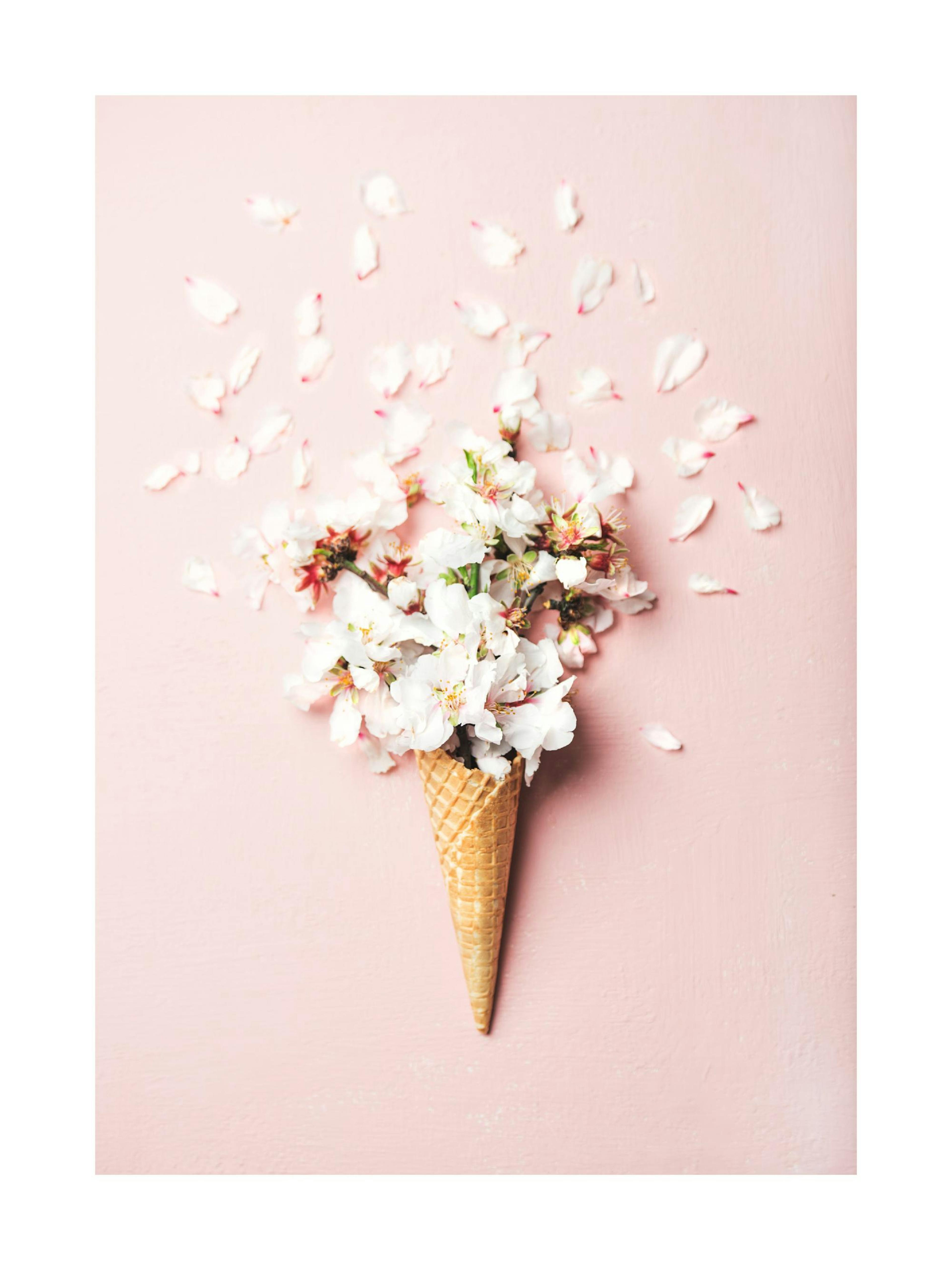 Blossom Waffle Poster thumbnail