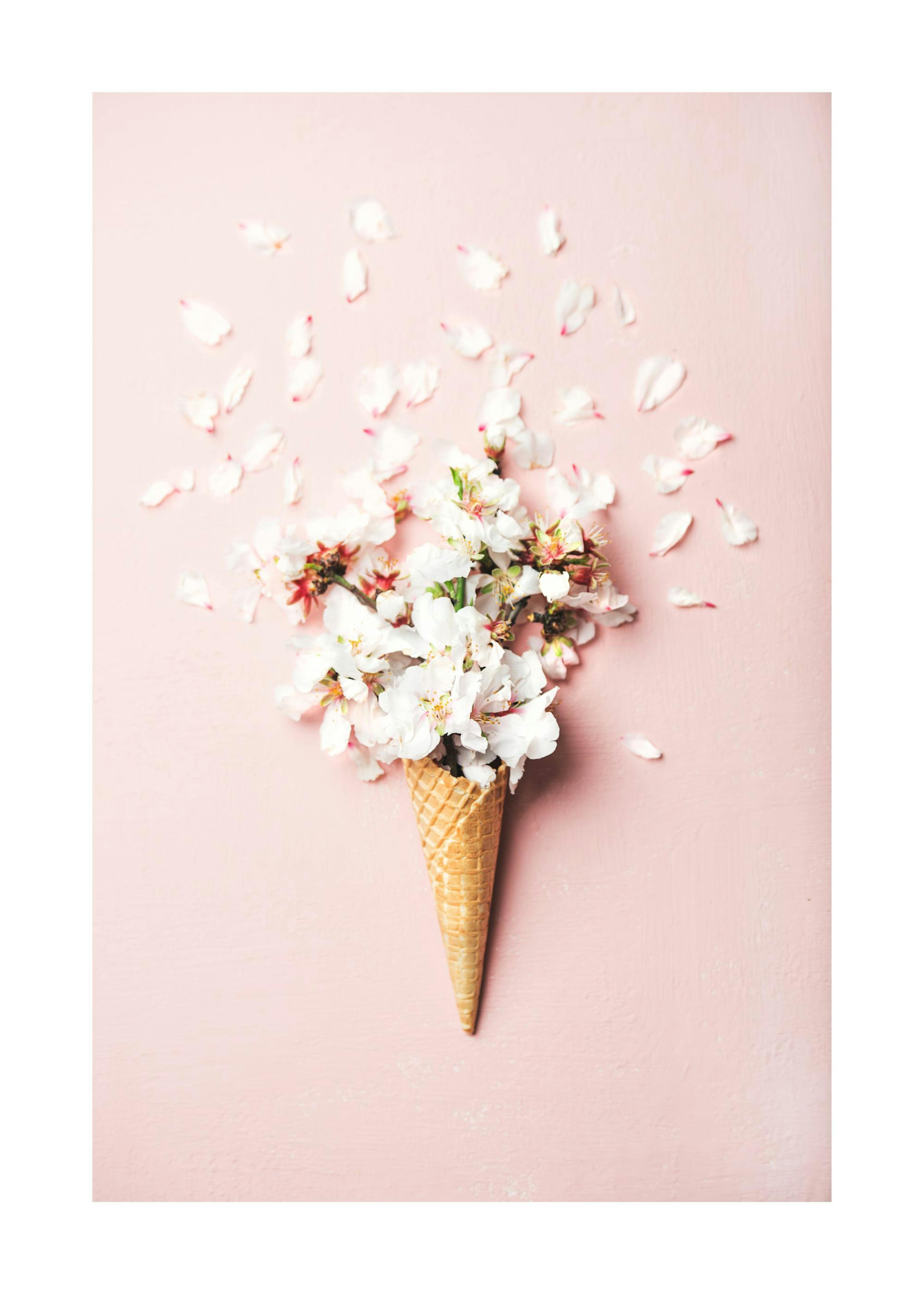 Blossom Waffle Poster 0
