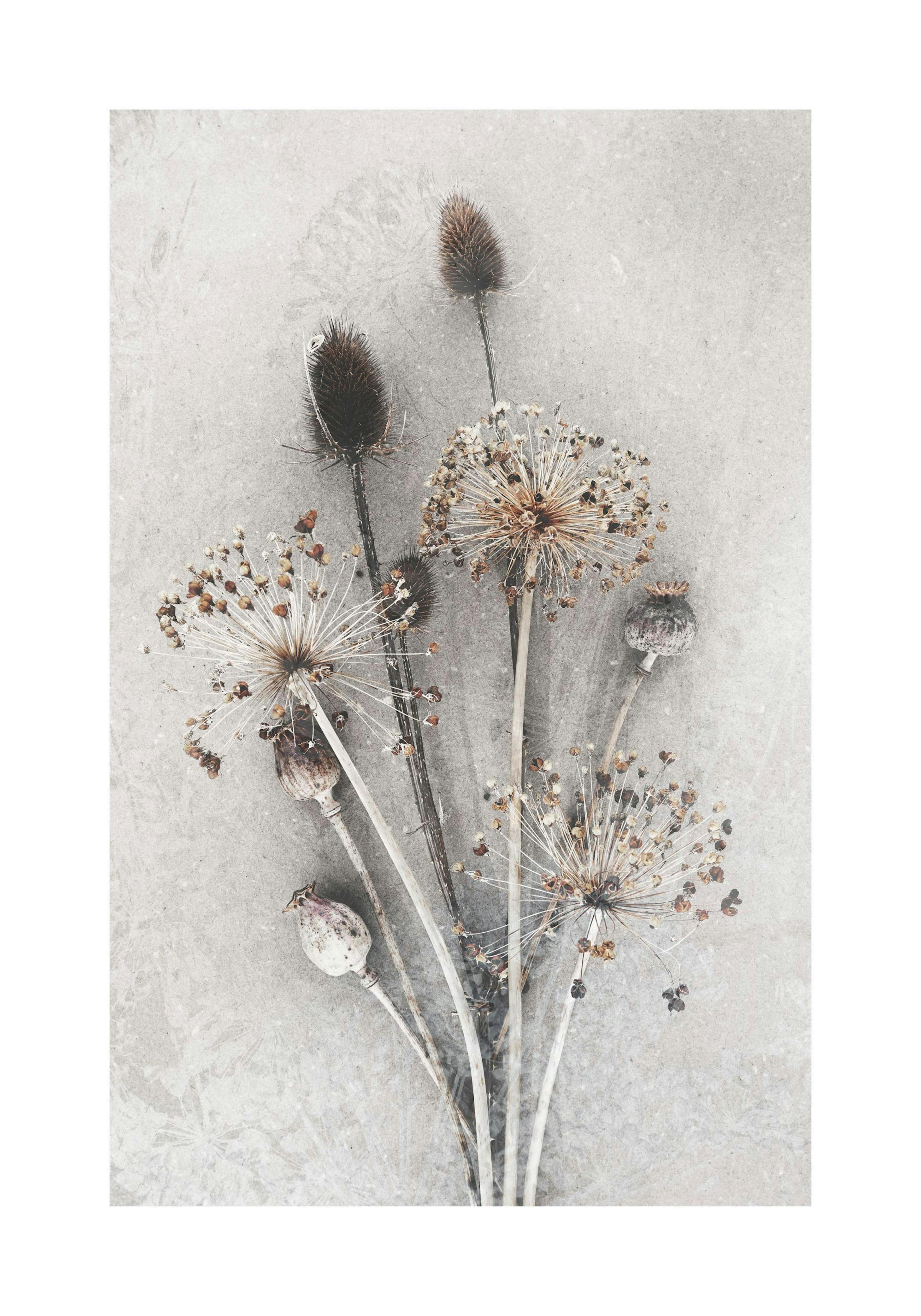 Gedroogde Bloemenbos Poster thumbnail