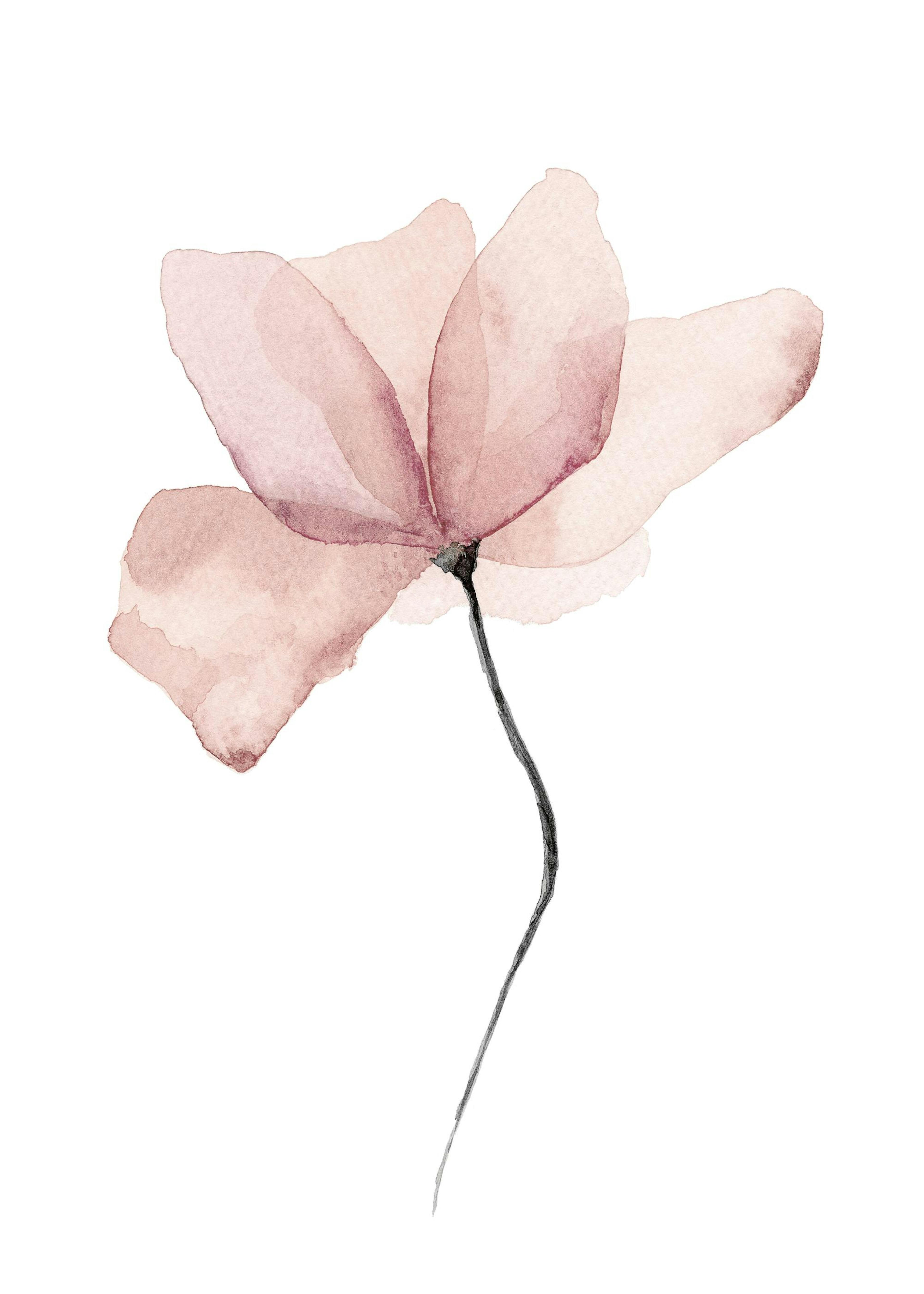 Watercolour Flower Poster 0