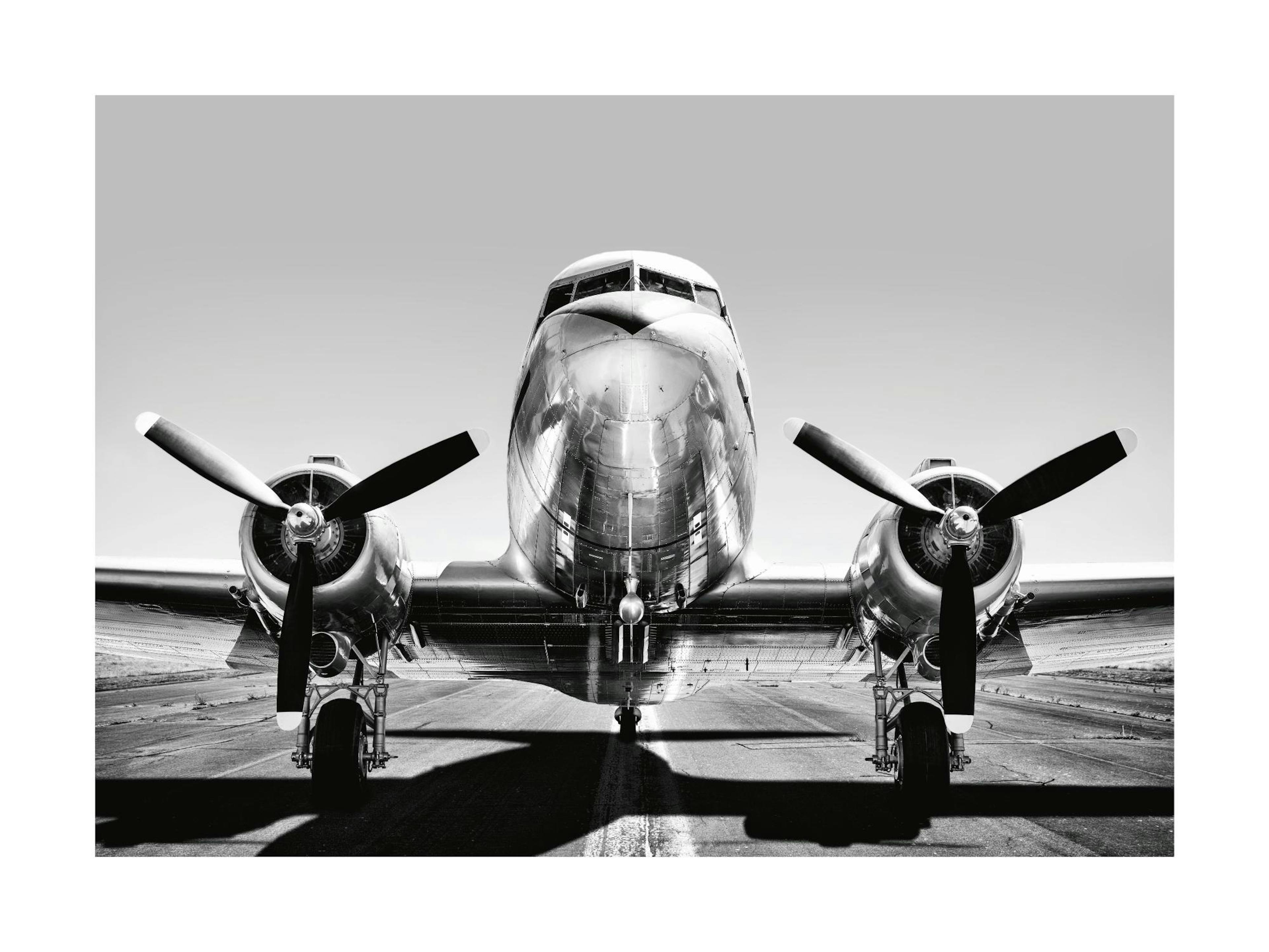 Propeller Plane Poster thumbnail