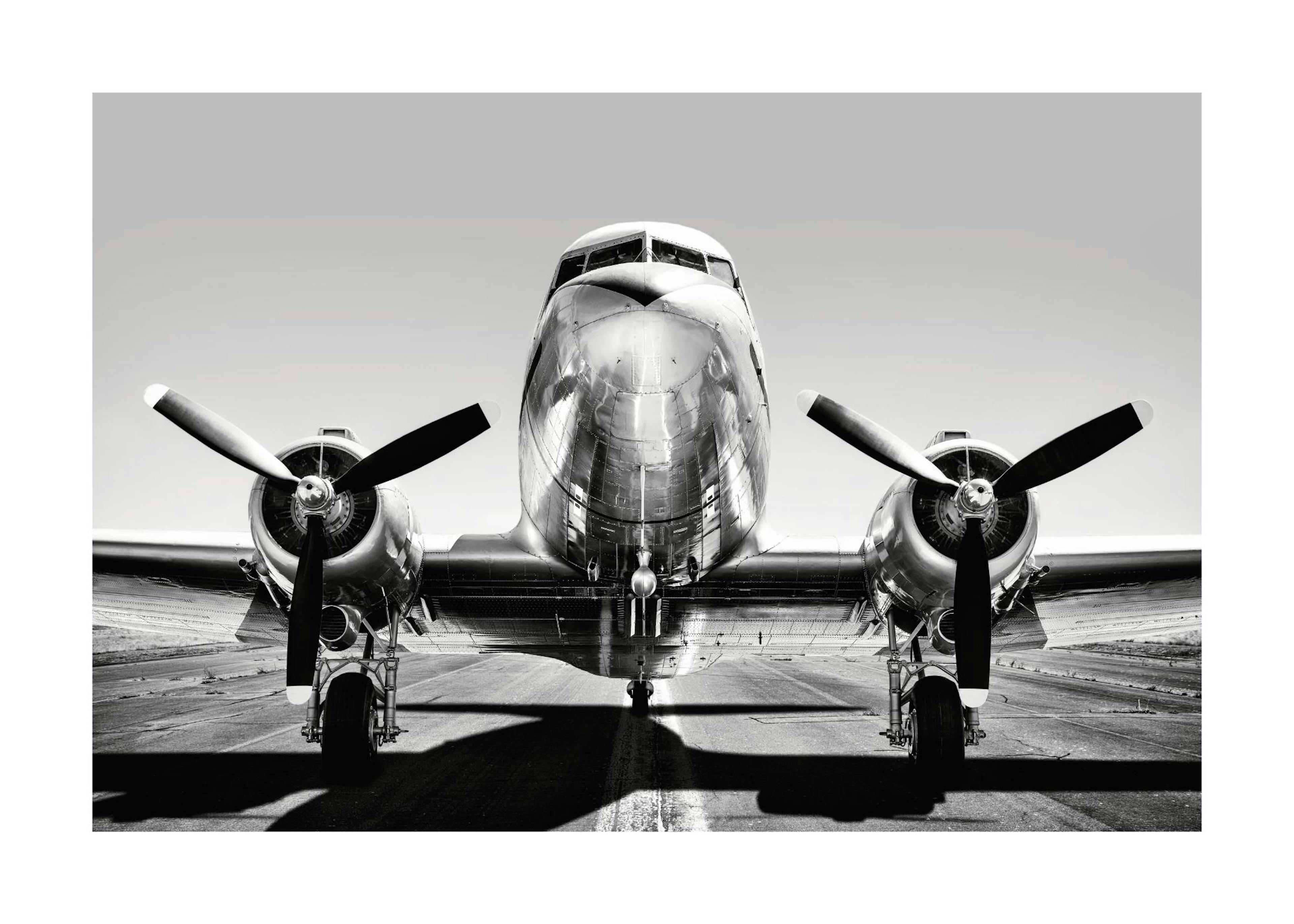 Avion à Hélices Poster 0