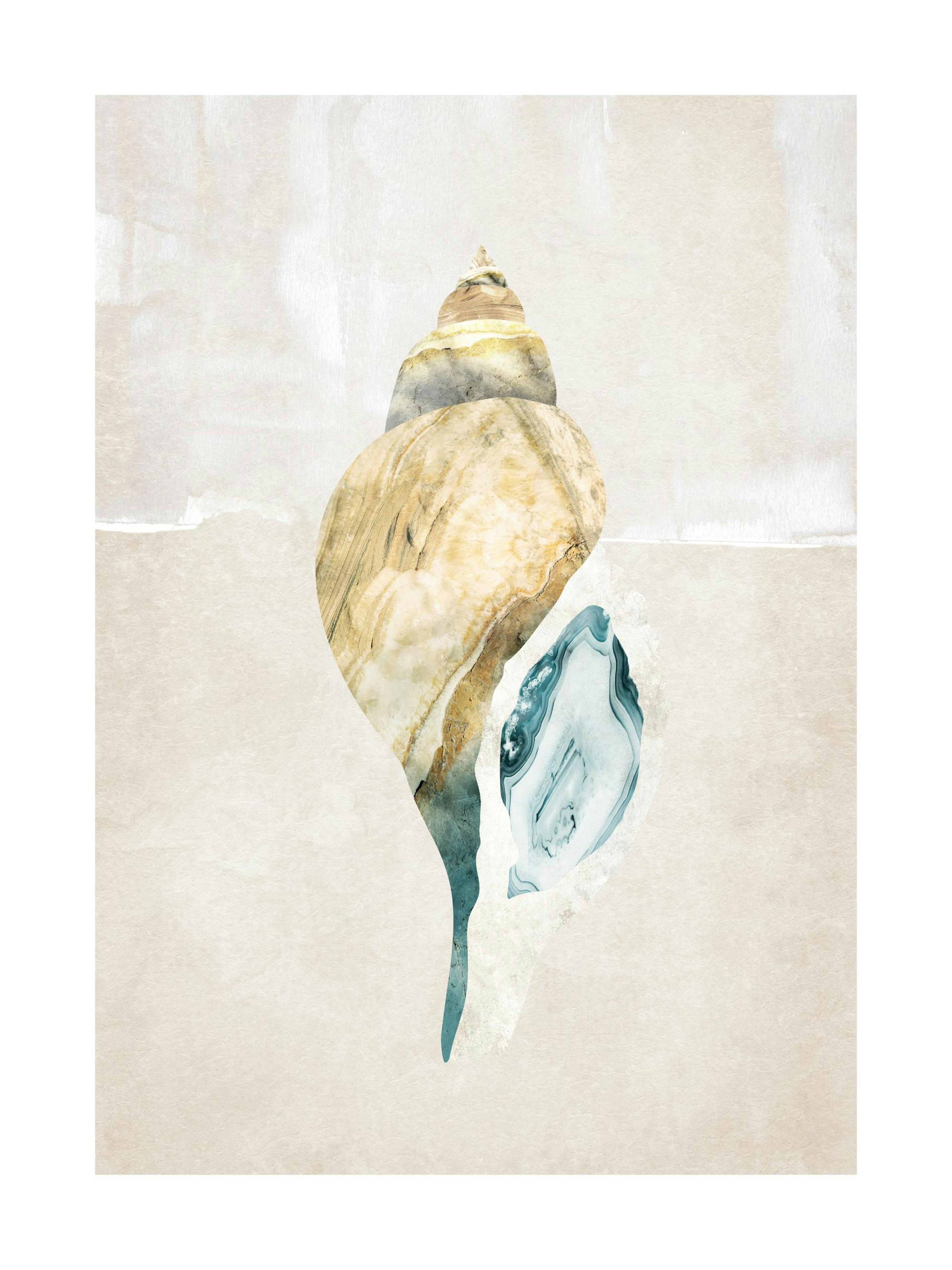 Graphic Seashell No2 Poster thumbnail