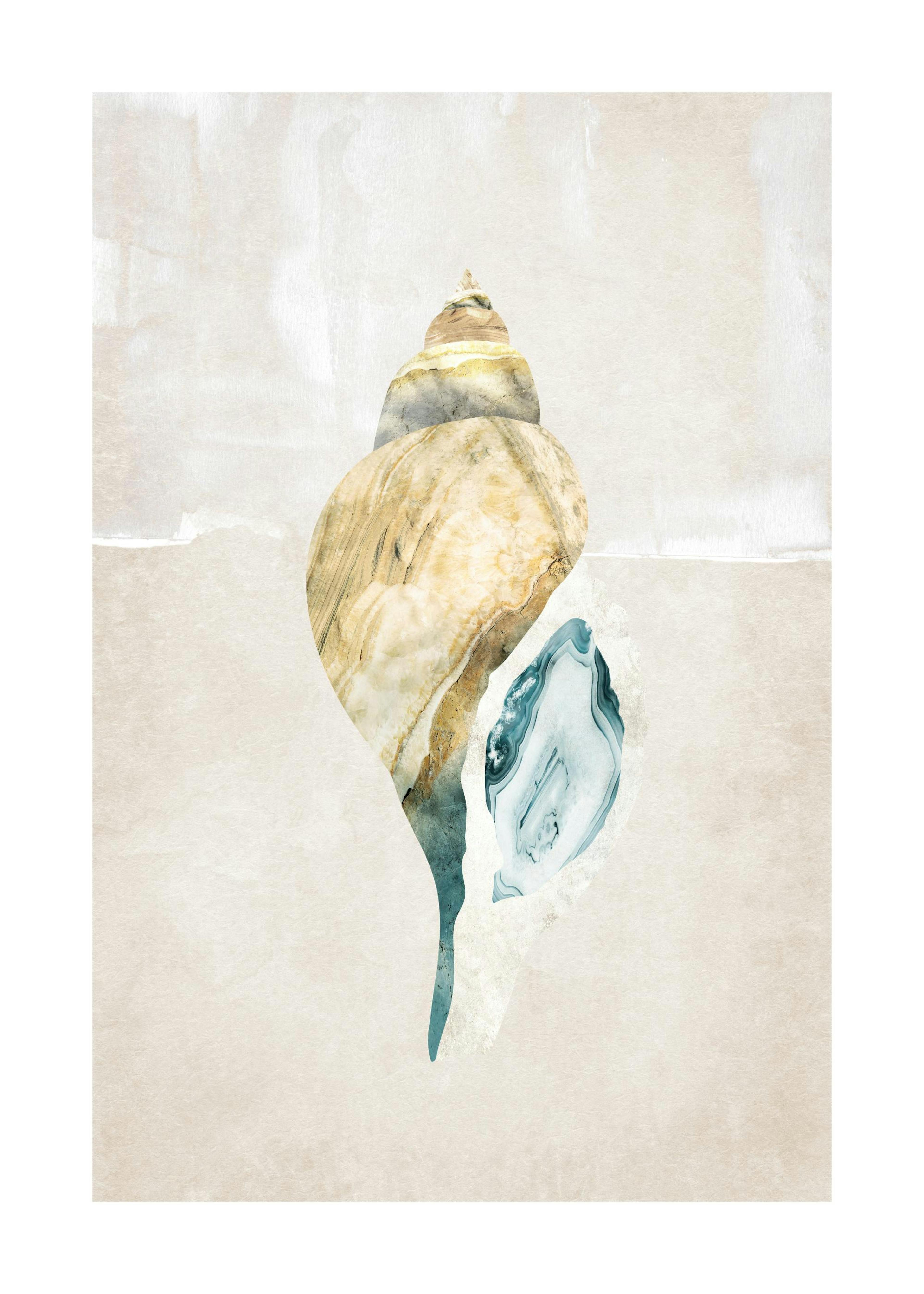 Grafische Muschel Nr. 2 Poster thumbnail