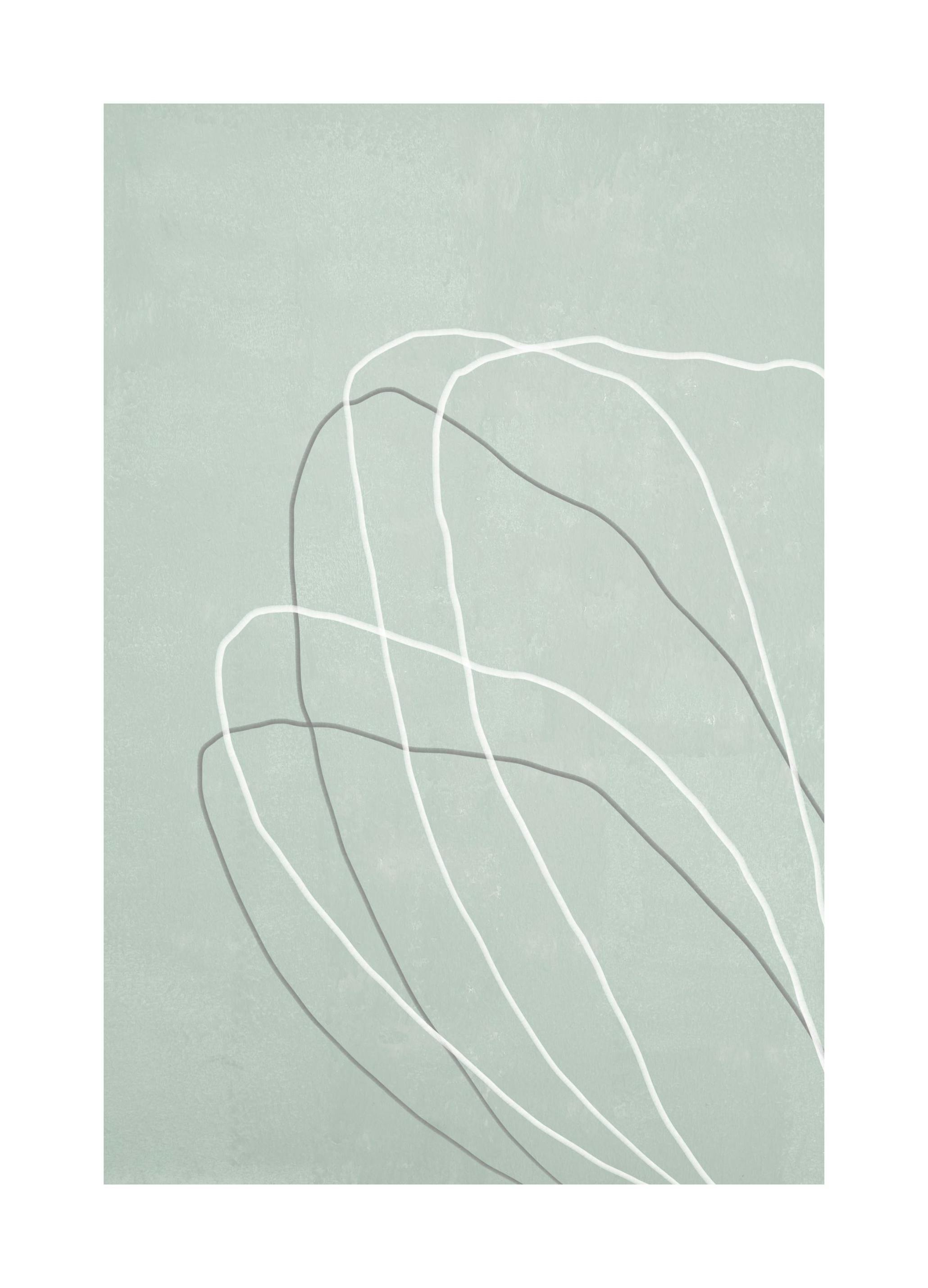 Lignes Florales No2 Poster (21x30 cm) - Poster Store