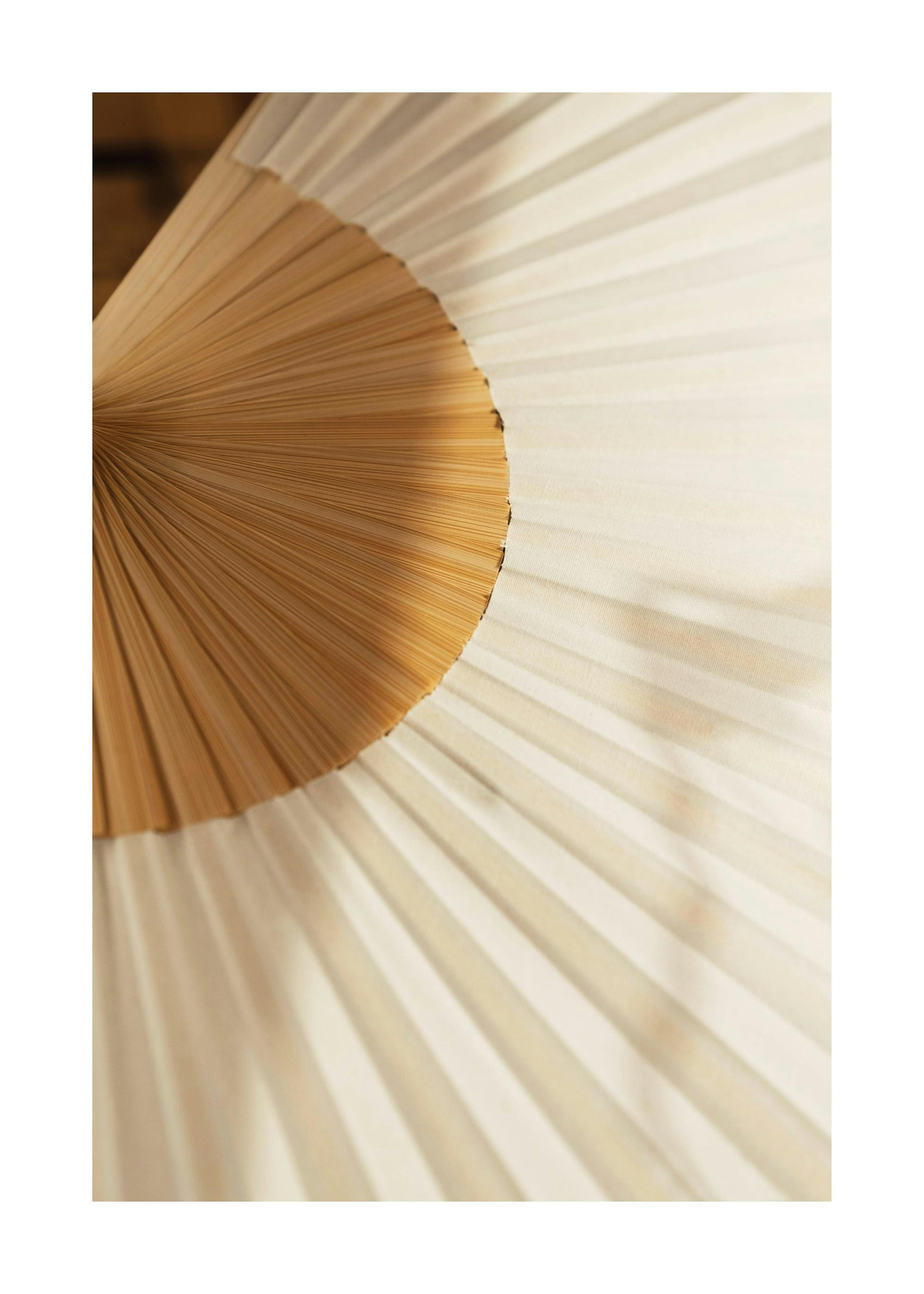 Folding Fan Poster thumbnail