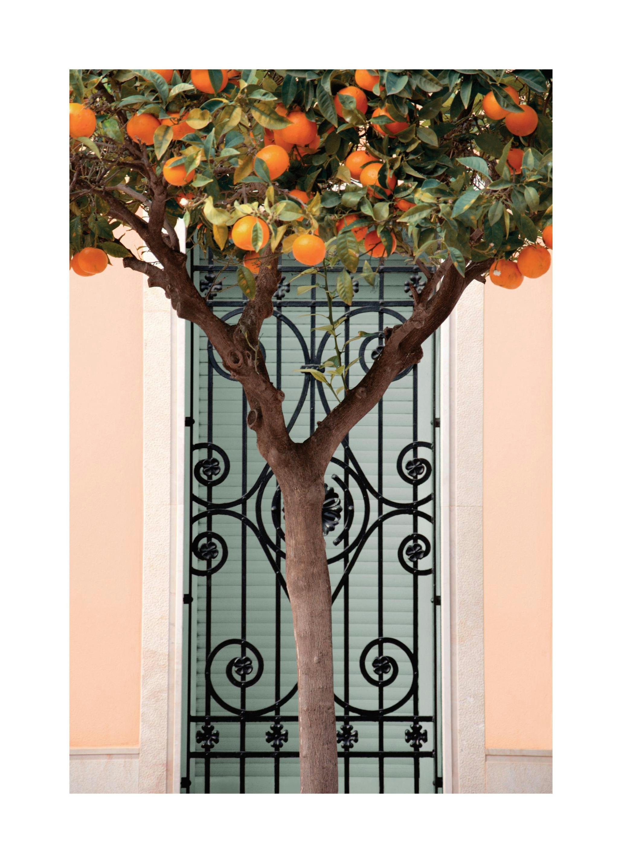 Plakat Appelsintre i Valencia (30x40 cm) - Poster Store