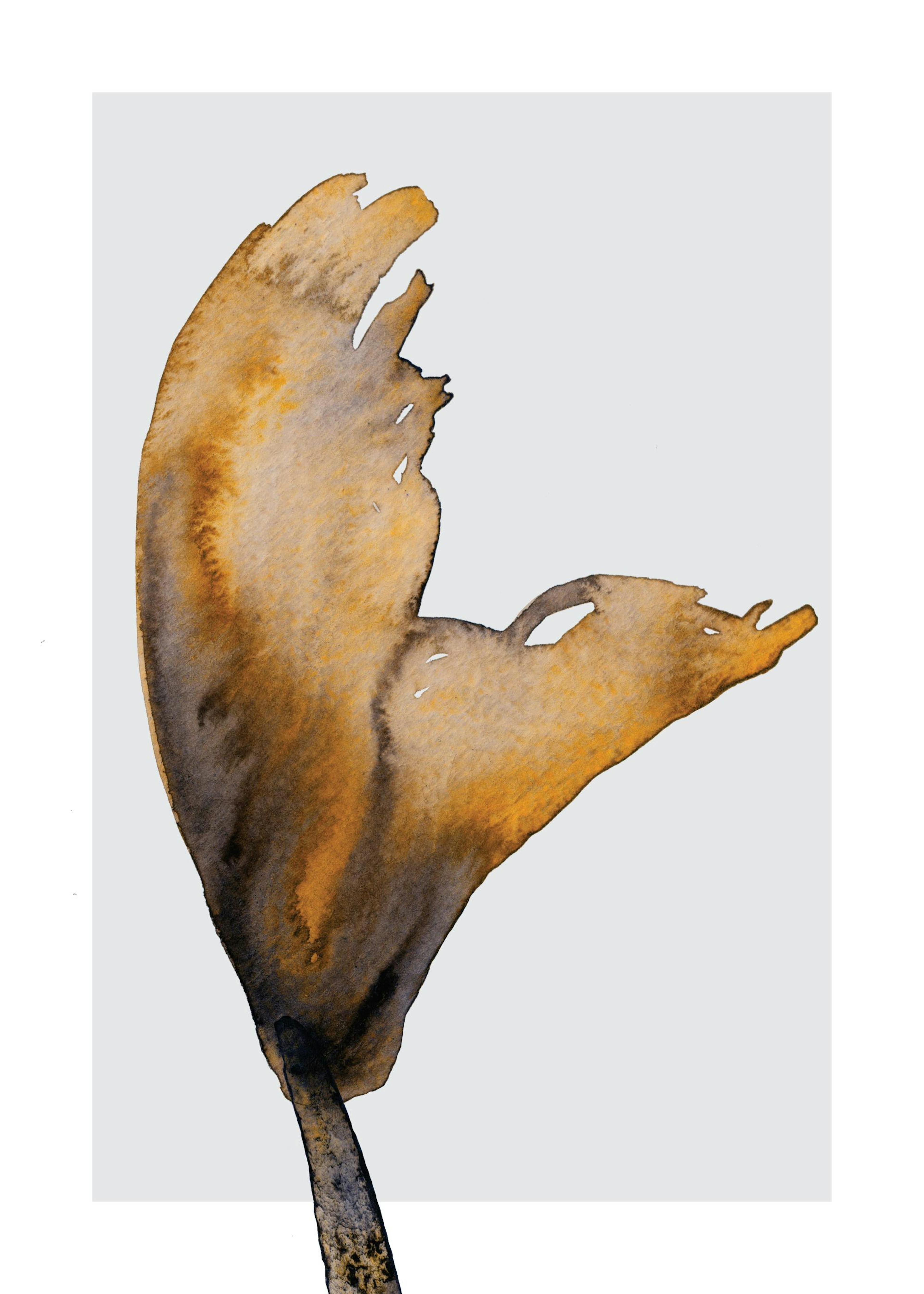 Abstrakt Blommor No2 Poster 0