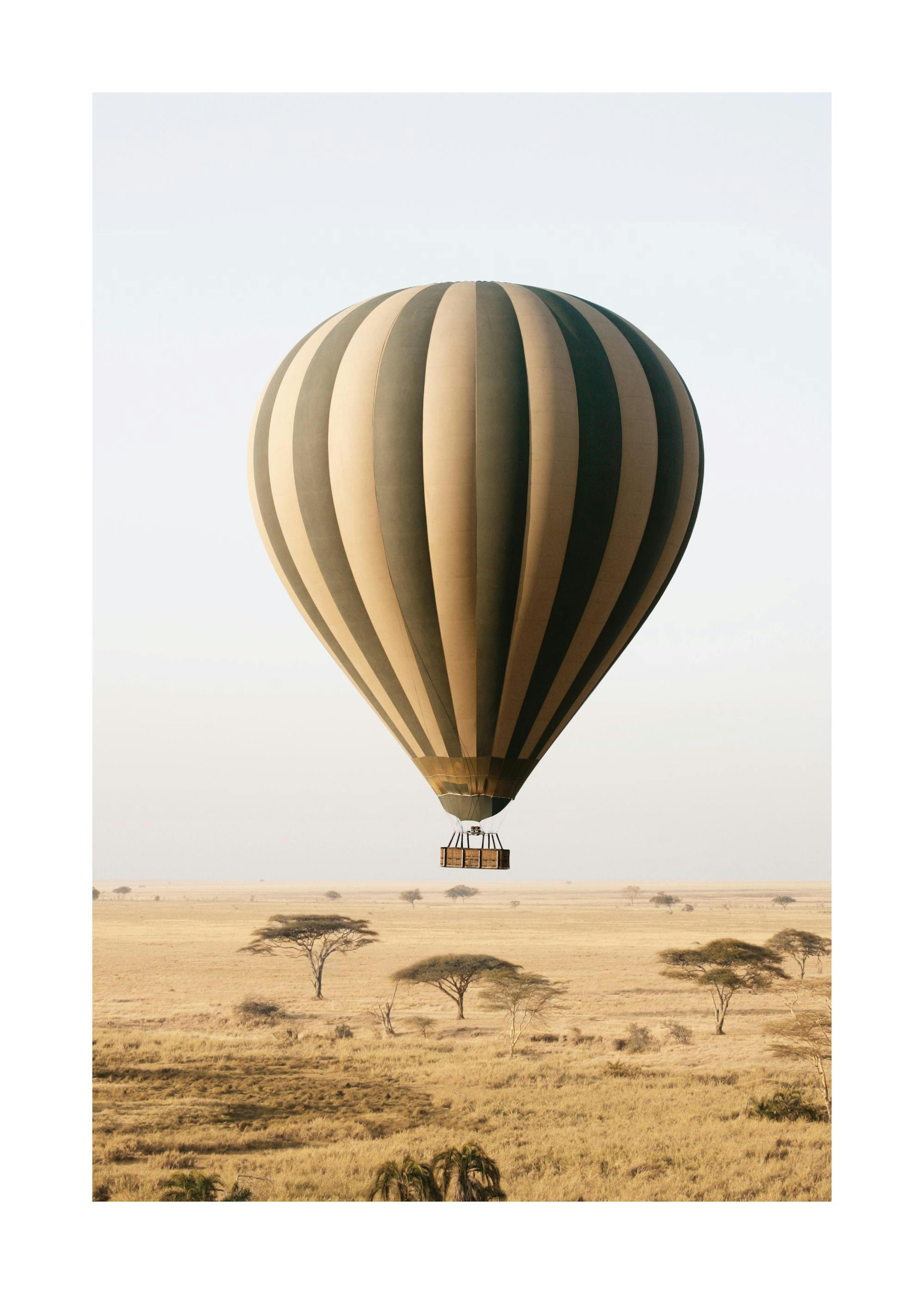 Safari en Montgolfière Poster thumbnail