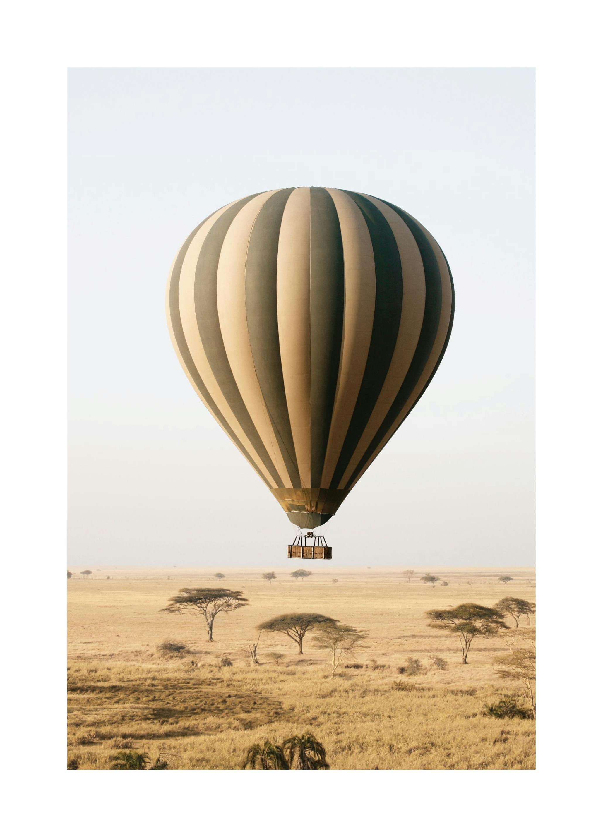 Prints Balloon Safari Poster (30x40 cm) - Poster Store