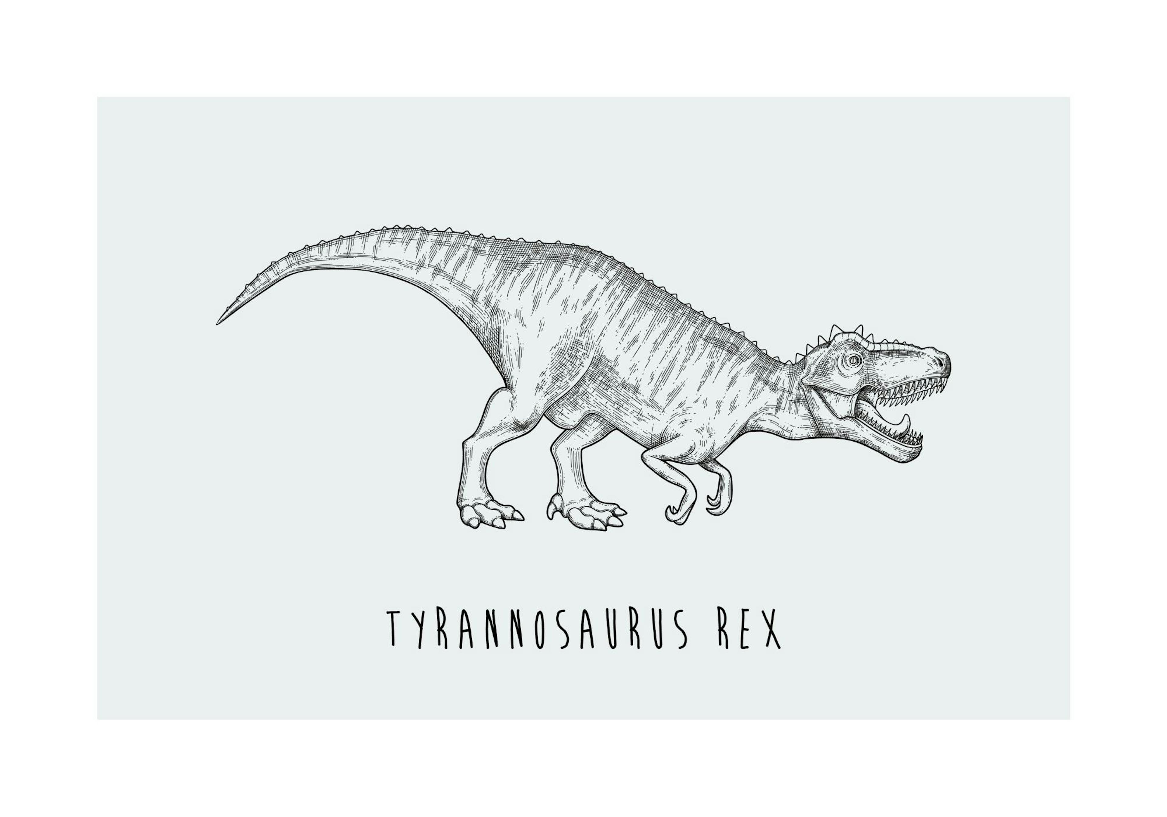 Tyrannosaurus Rex Poster thumbnail