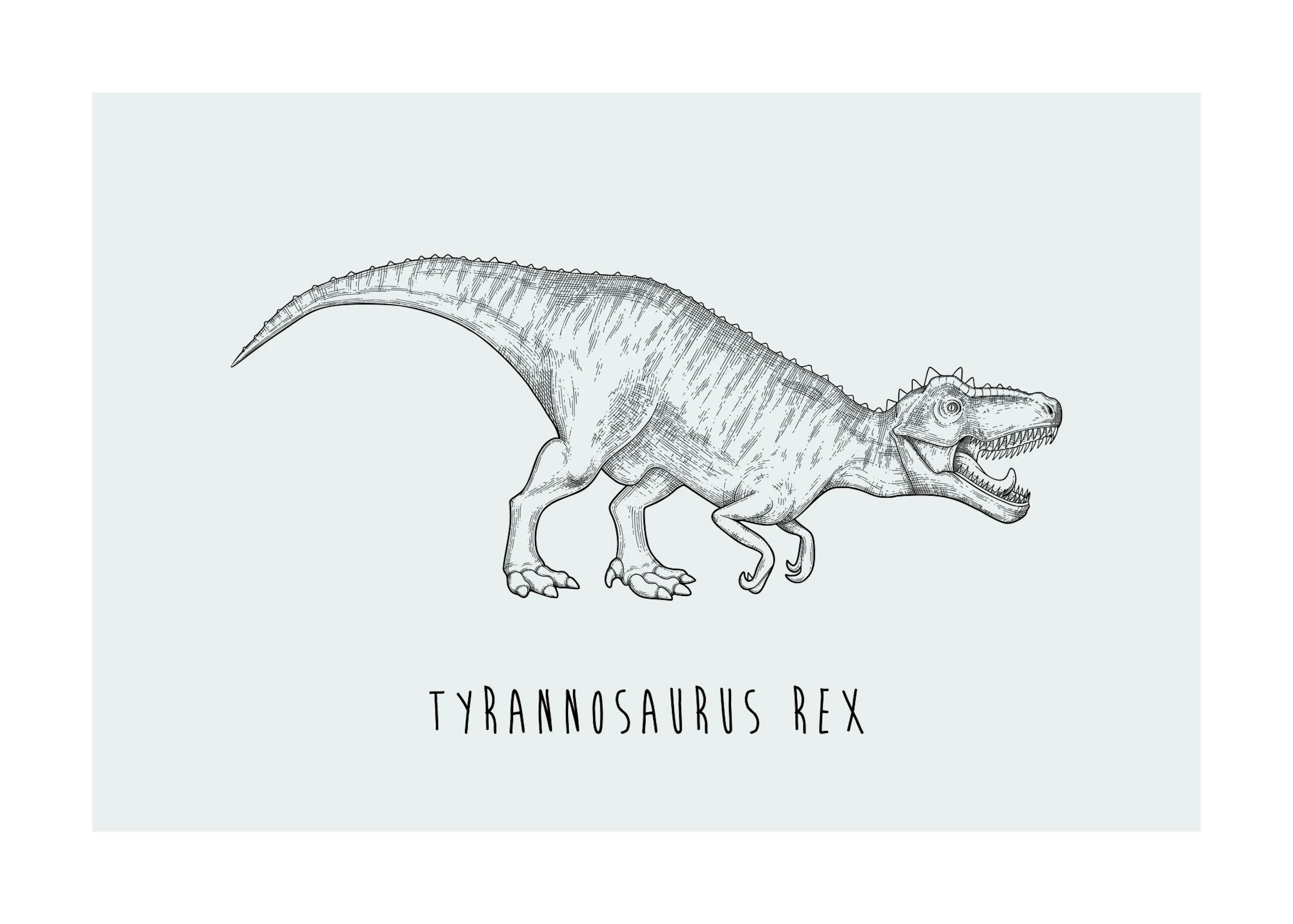 Tyrannosaurus Rex Poster 0