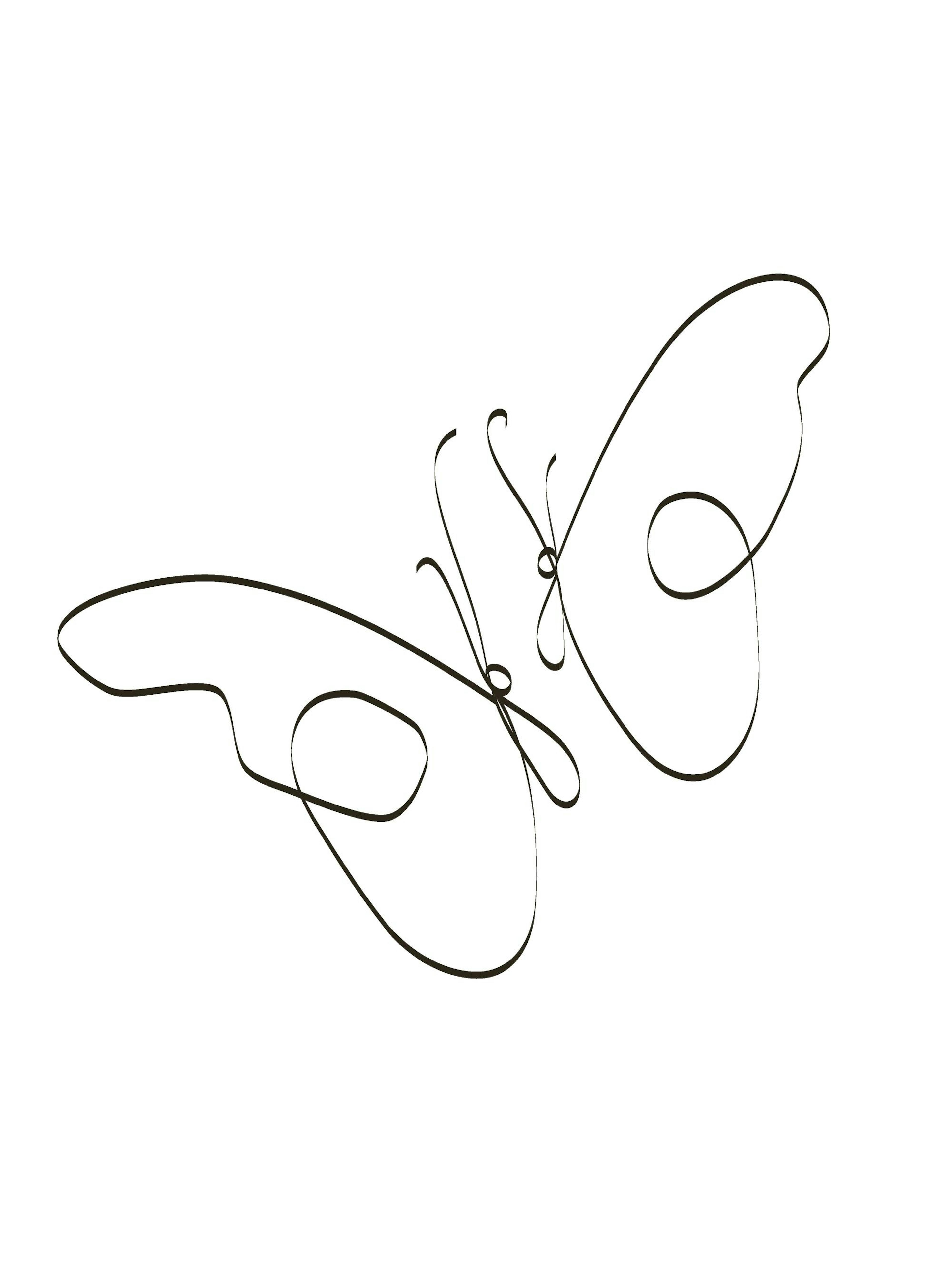 Butterfly Couple Poster thumbnail