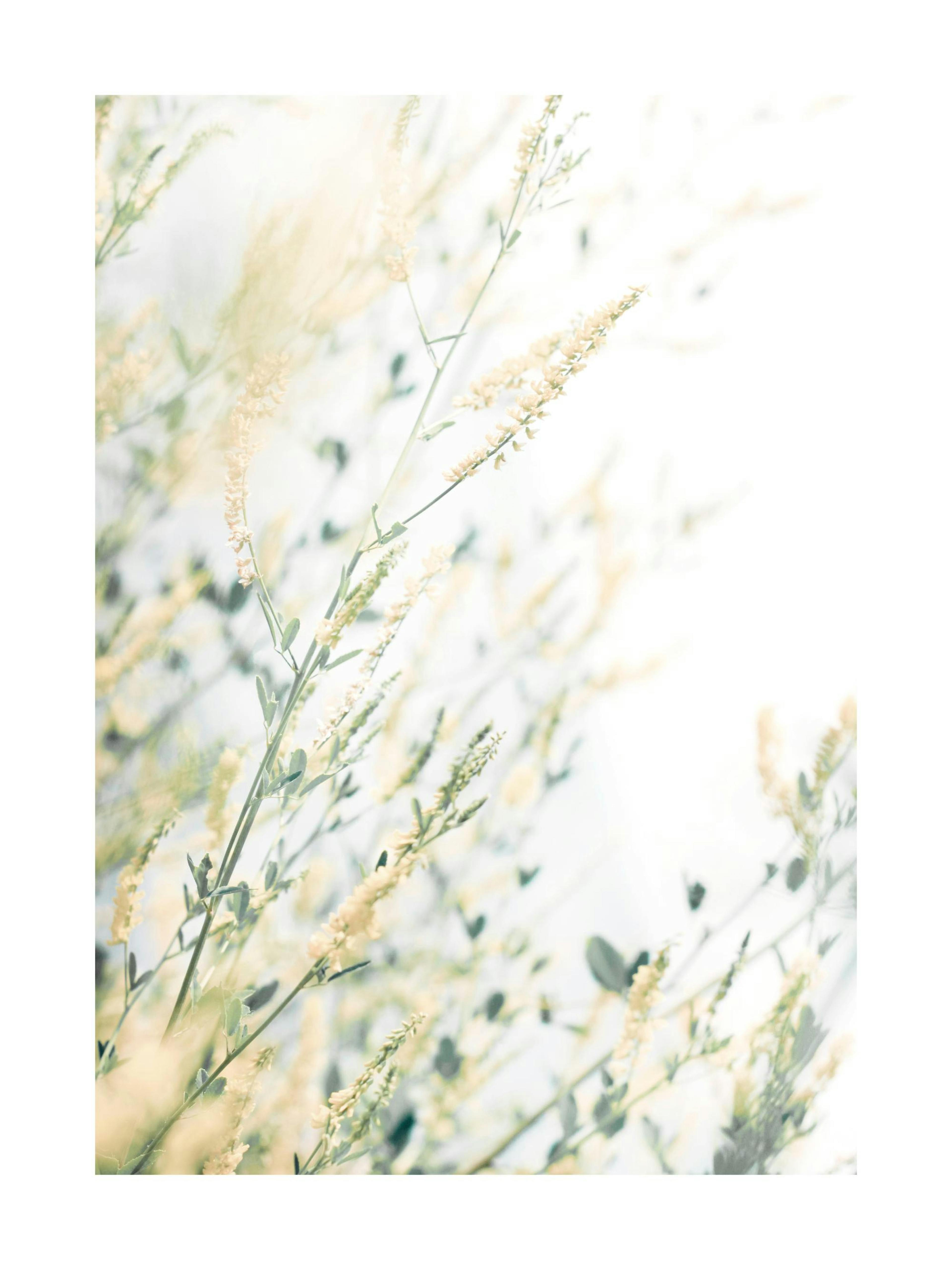 Light Floral Poster thumbnail