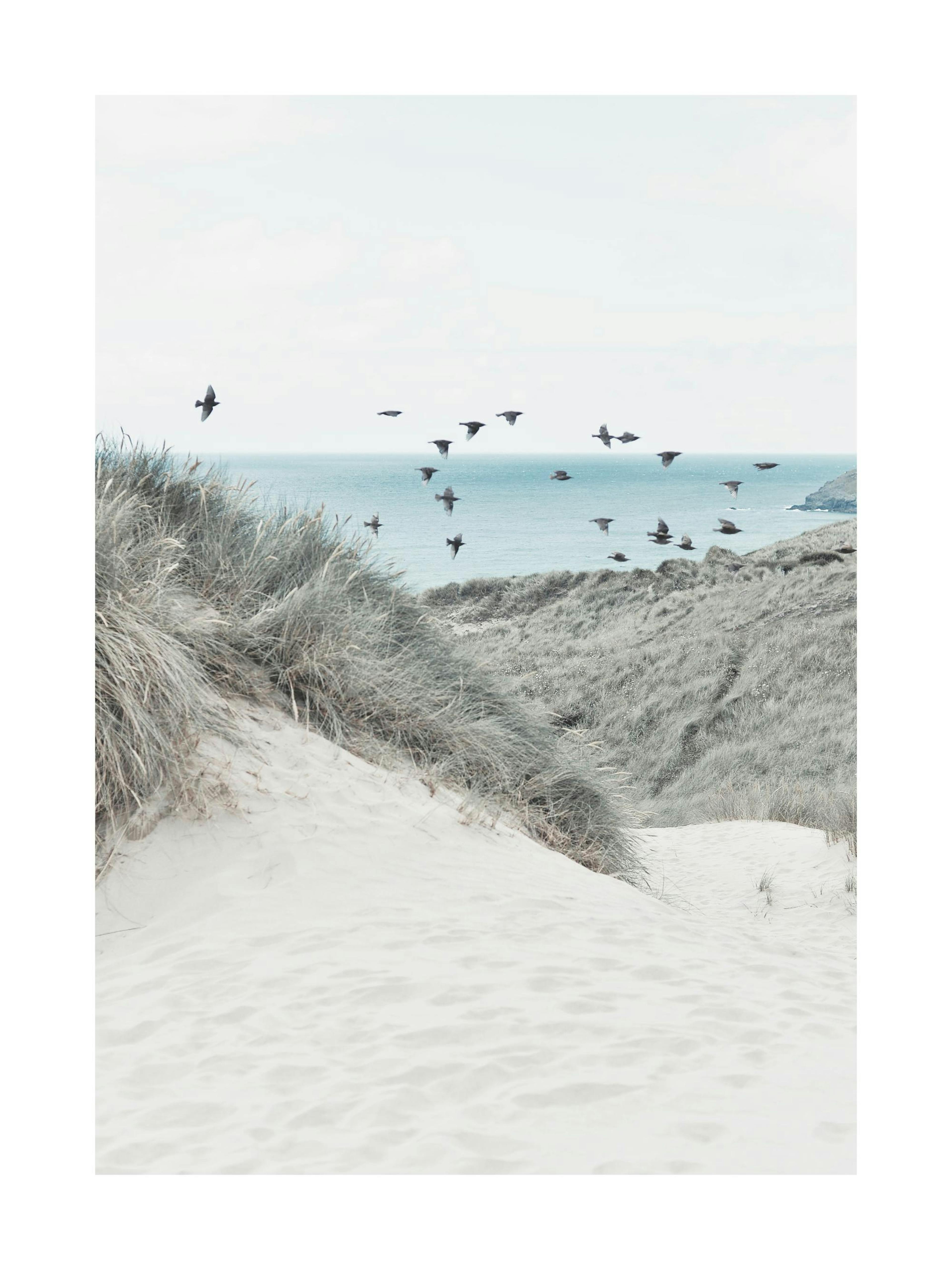 Beach Dune Poster thumbnail