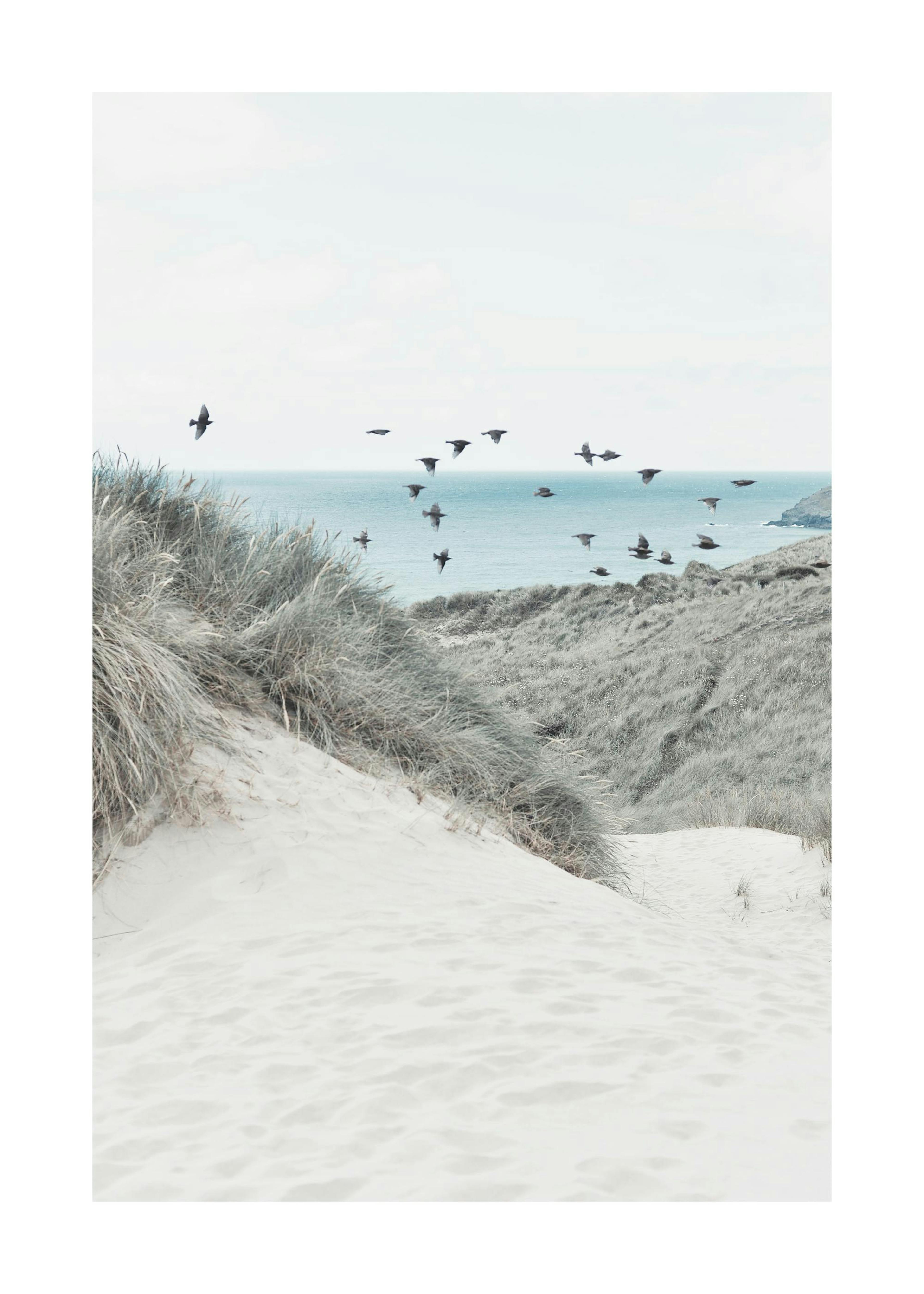 Duna della Spiaggia Poster 0