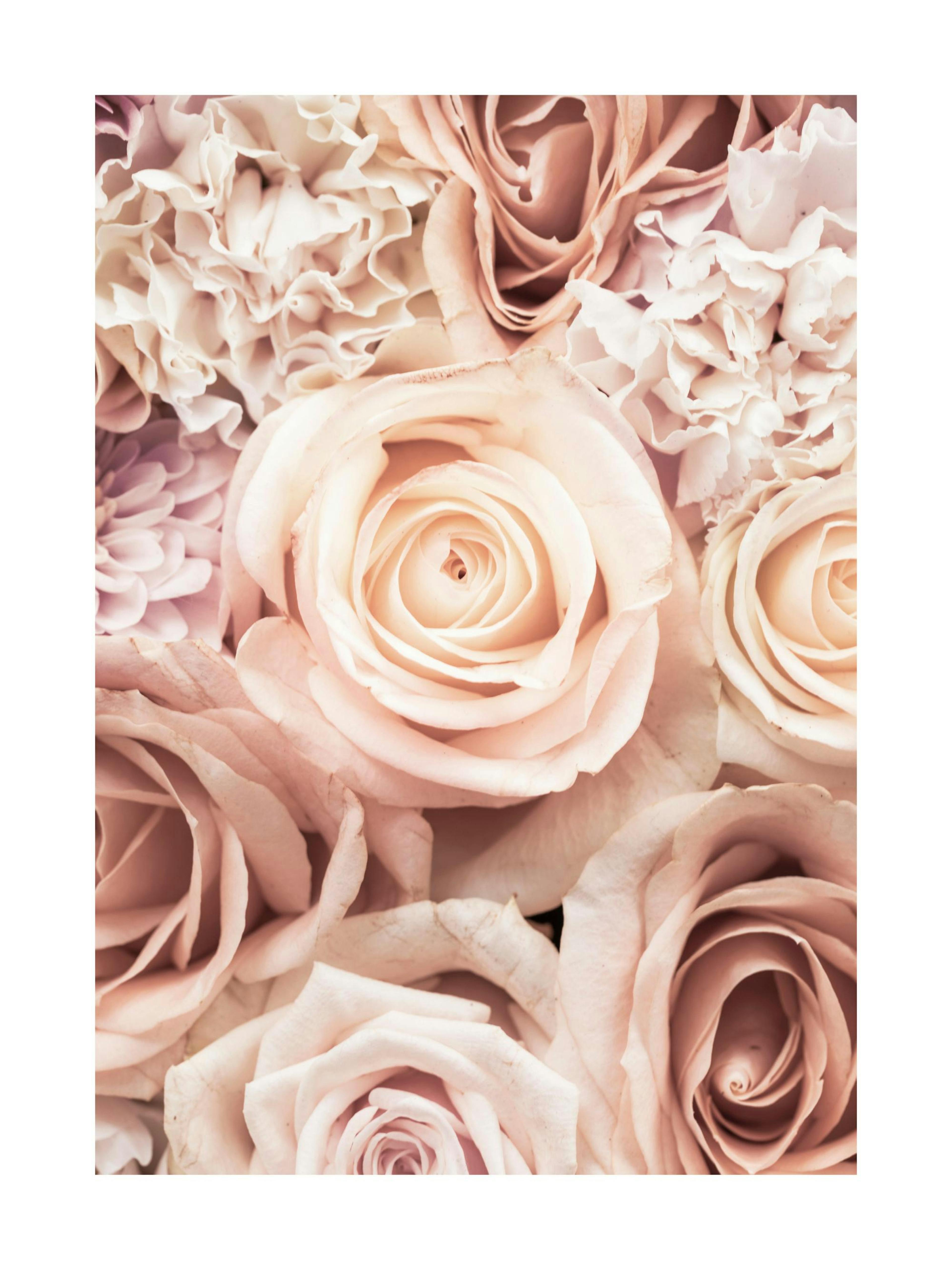 Blooming Pink No2 Poster thumbnail
