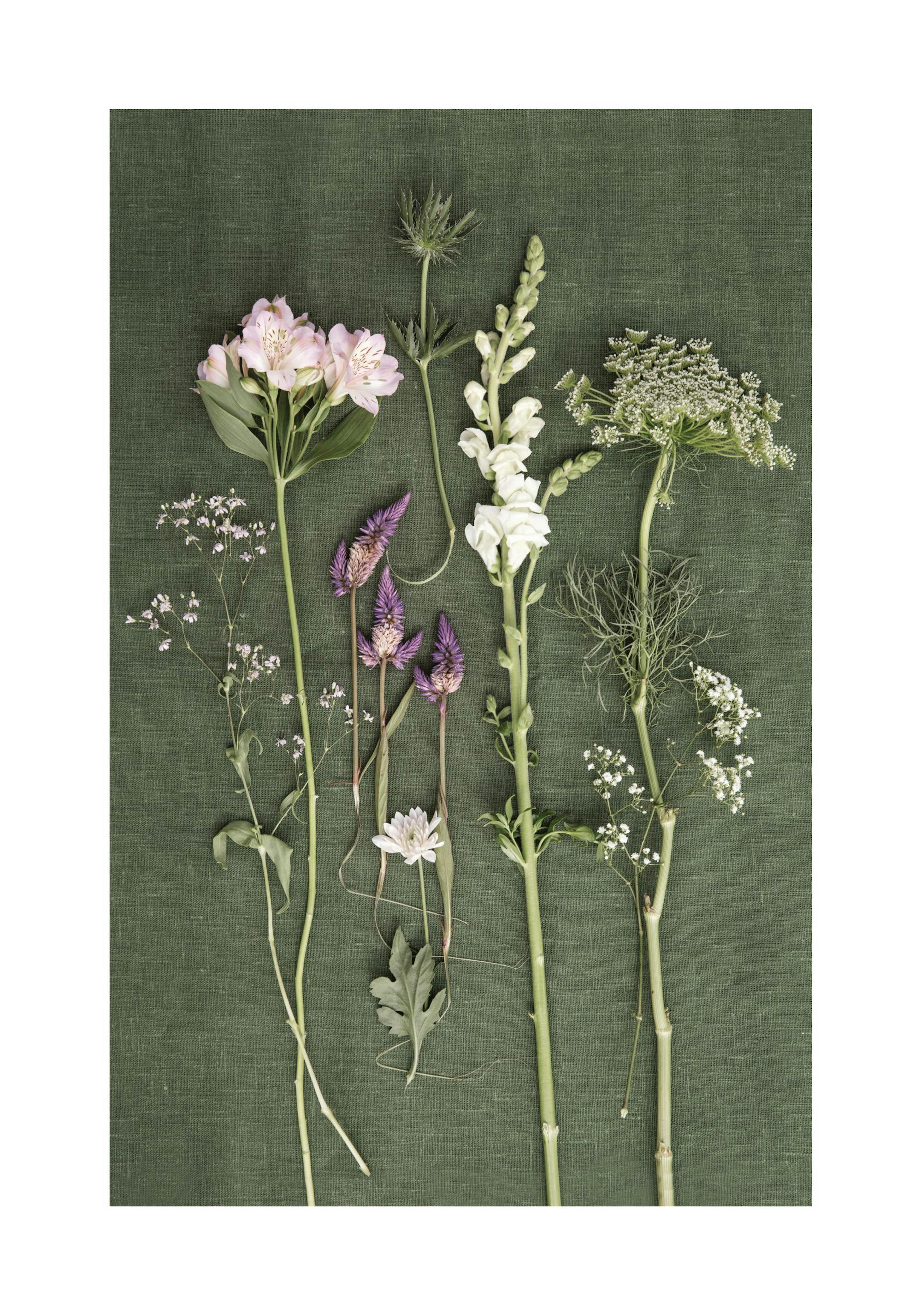 Seven Kinds Of Flowers Poster thumbnail